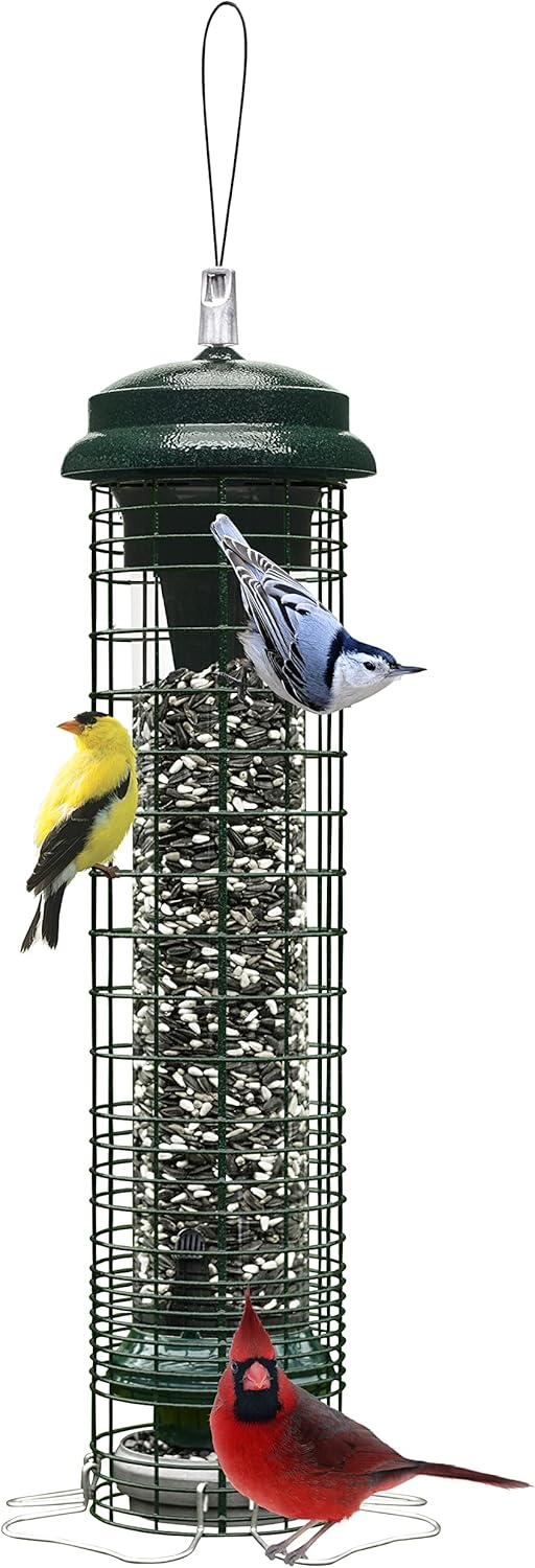 Brome Squirrel Solution 150 Squirrel-Proof Bird Feeder for Wild Birds – 4 Stainless Steel Perches, 2.6 lb Seed Capacity, Chew-Proof, Free Seed Funnel Included