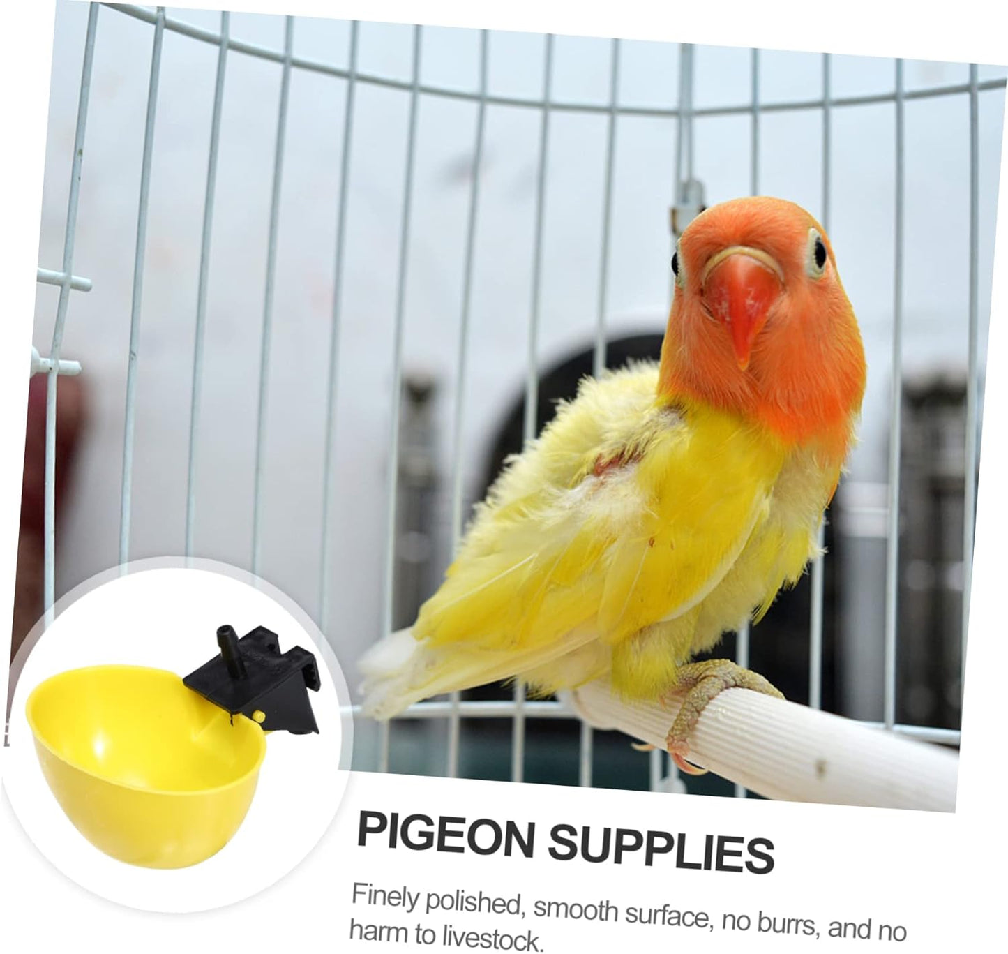 Milisten 10pcs Automatic Pigeon Water Feeders Drinking Bowls for Quail
