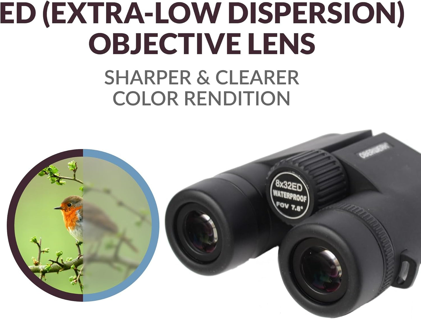 Oberwerk 8x42 Sport HD II Binocular - Professional Binocular/Hiking/Outdoors/Bird Watching/Waterproof/Focus As Close as 8 Feet