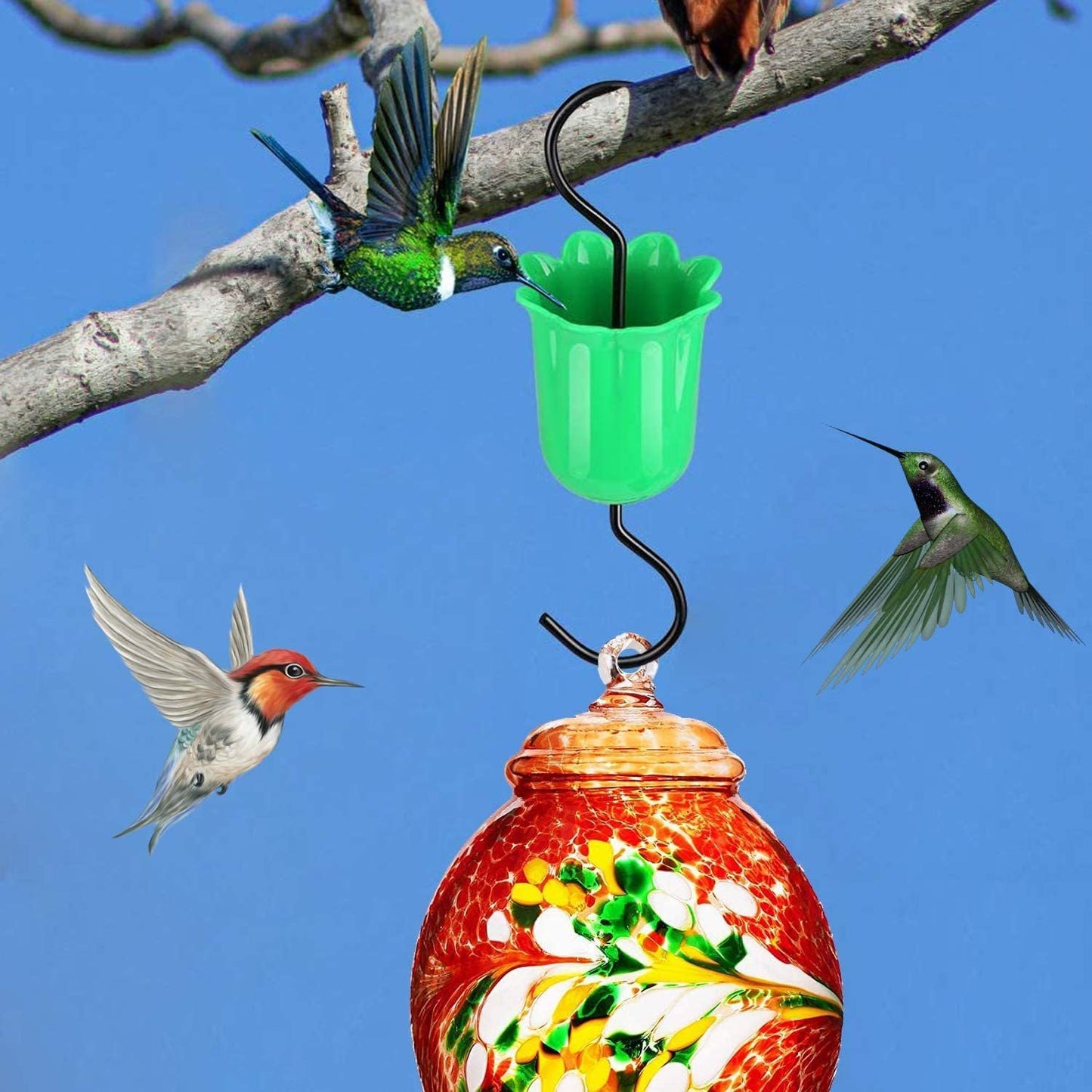Ant Moat for Hummingbird and Oriole Feeders, Red Flower Hummingbird Feeder Ant Guard, Hummingbird Feeder Accessory Hooks, Made of Durable Plastic, Metal & Rustproof S Hooks, (Green)
