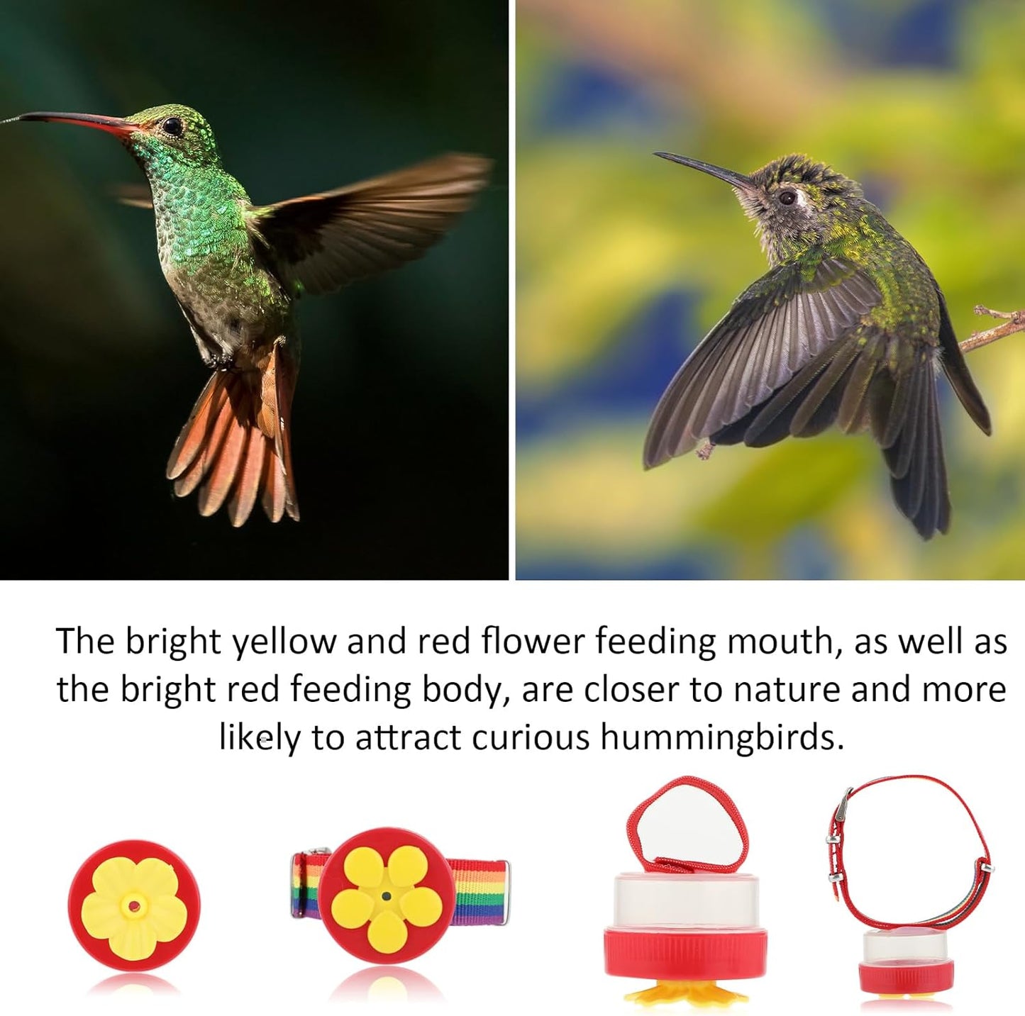 Hummingbird Wrist Feeder Set, 2 Pack Ring and Wrist Adjustable Hummingbird Hand Feeders with 2 Cleaning Brush Mini Hand Held Flower Hummingbird Feeders for Outdoor (Rainbow)