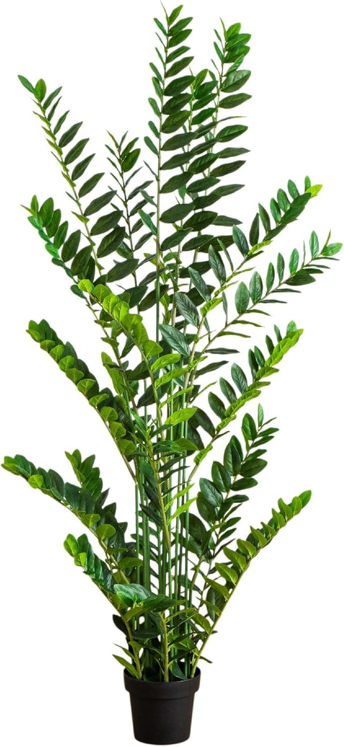 Nearly Natural 6ft Artificial Zamioculcas Plant - Realistic Faux Plant for Home Decor - Premium Materials - Bendable Branches - Year-Round Greenery - Nursery Planter Included