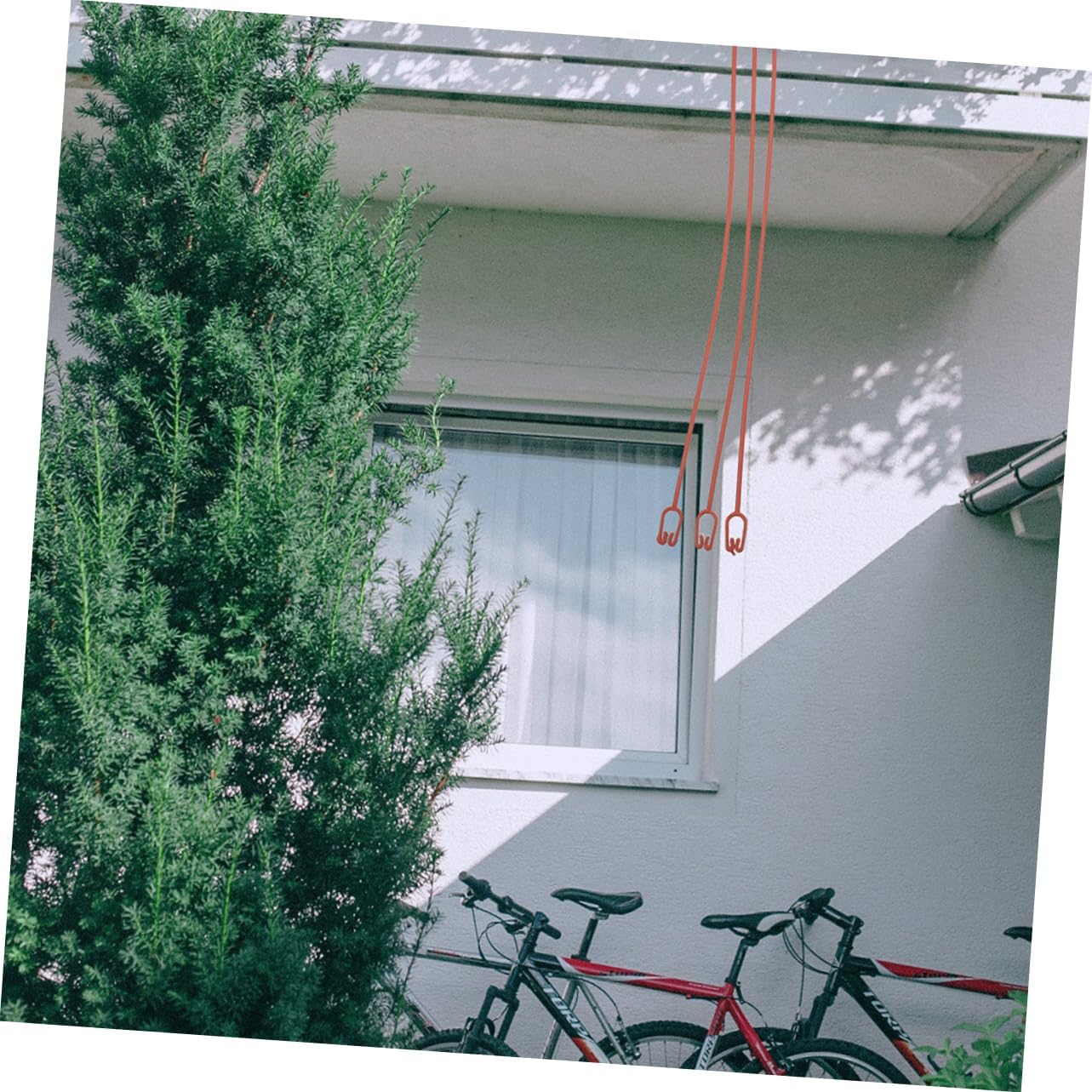 Milisten 30Pcs Durable Plant Hooks for Hanging Flower Pots Versatile S