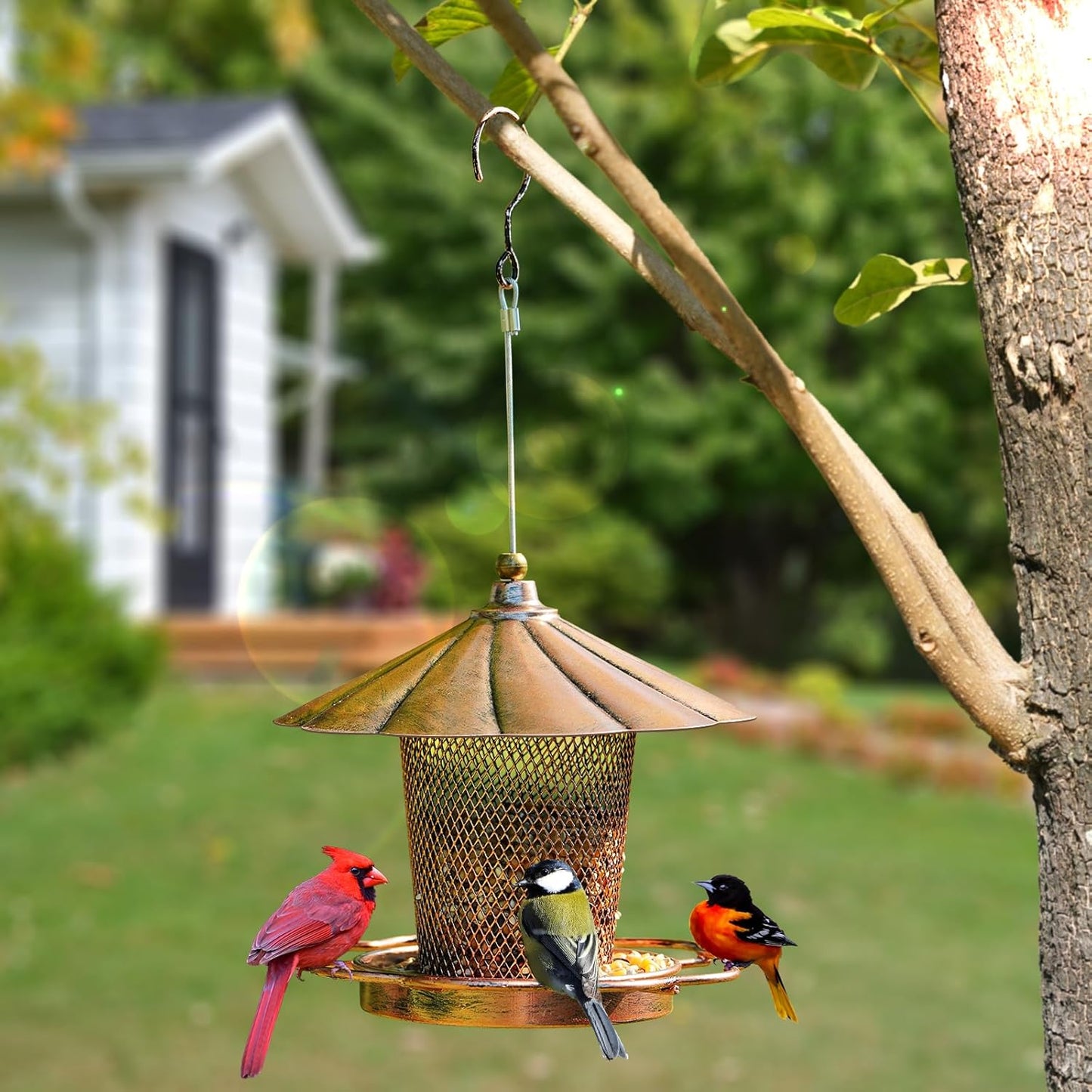 LBTING Bird Feeder for Outdoor, Squirrel Proof Metal Wild Bird Feeder 