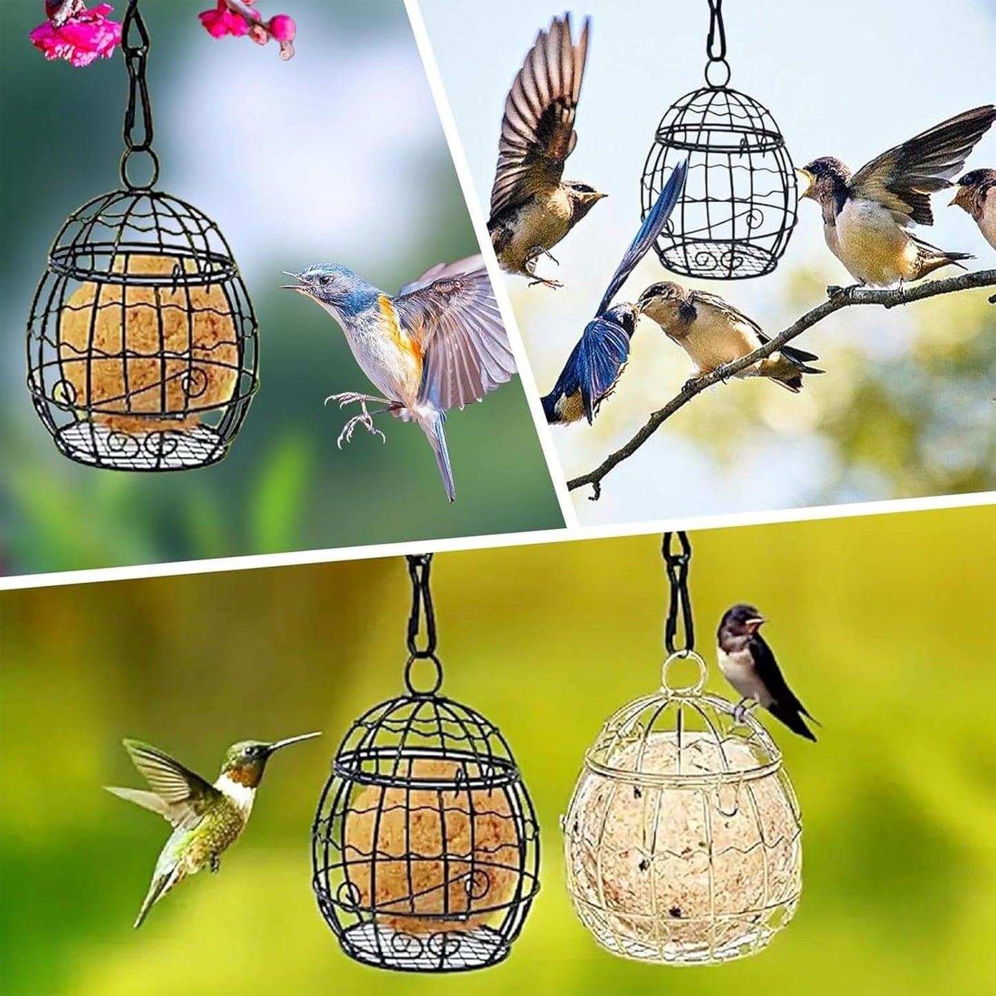 Suet Bird Feeder - Metal Squirrel Proof Wildlife Food Station, with Ho