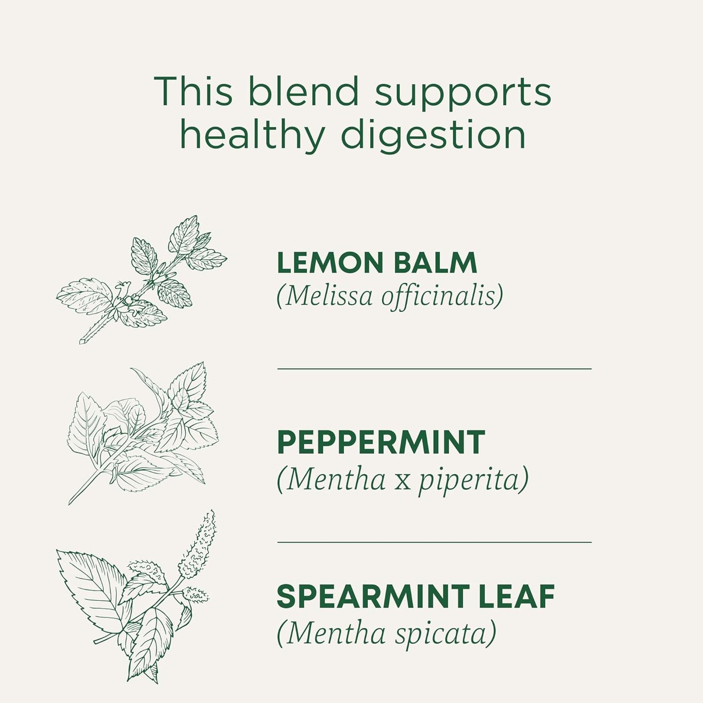 Traditional Medicinals Tea, Organic Triple Mint - Supports Healthy Digestion - Kosher, Non-GMO, Caffeine-Free - 16 Tea Bags