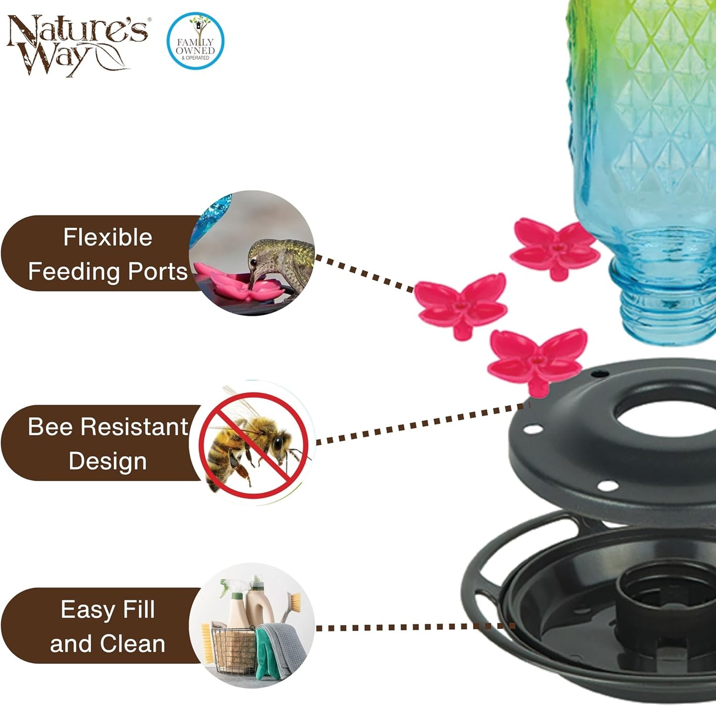 Seafoam Ombre Column Gravity Glass Hummingbird Feeder for Outdoor Décor, 23 oz Nectar Feeder with 6 Flexible Flower Ports, Continuous Perch Ring & Easy-Clean Two-Part Base, Bee-Resistant Design