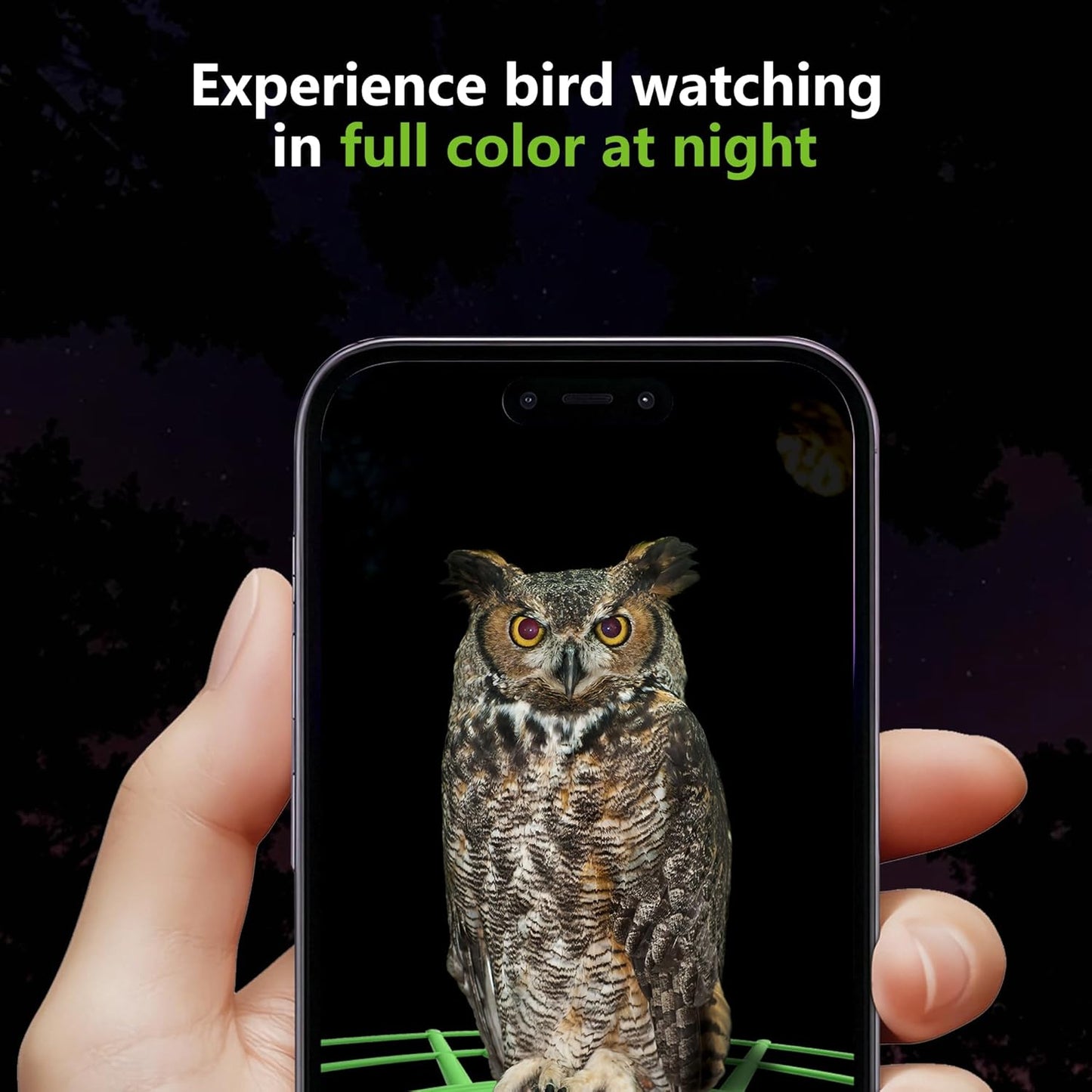 Bird Feeder with Camera, AI Birds Identification, Solar Powered, Live View, Instant Alerts, Capture Bird Videos, 2K HD Camera, Ideal Gift for Family and Enthusiasts (Green)