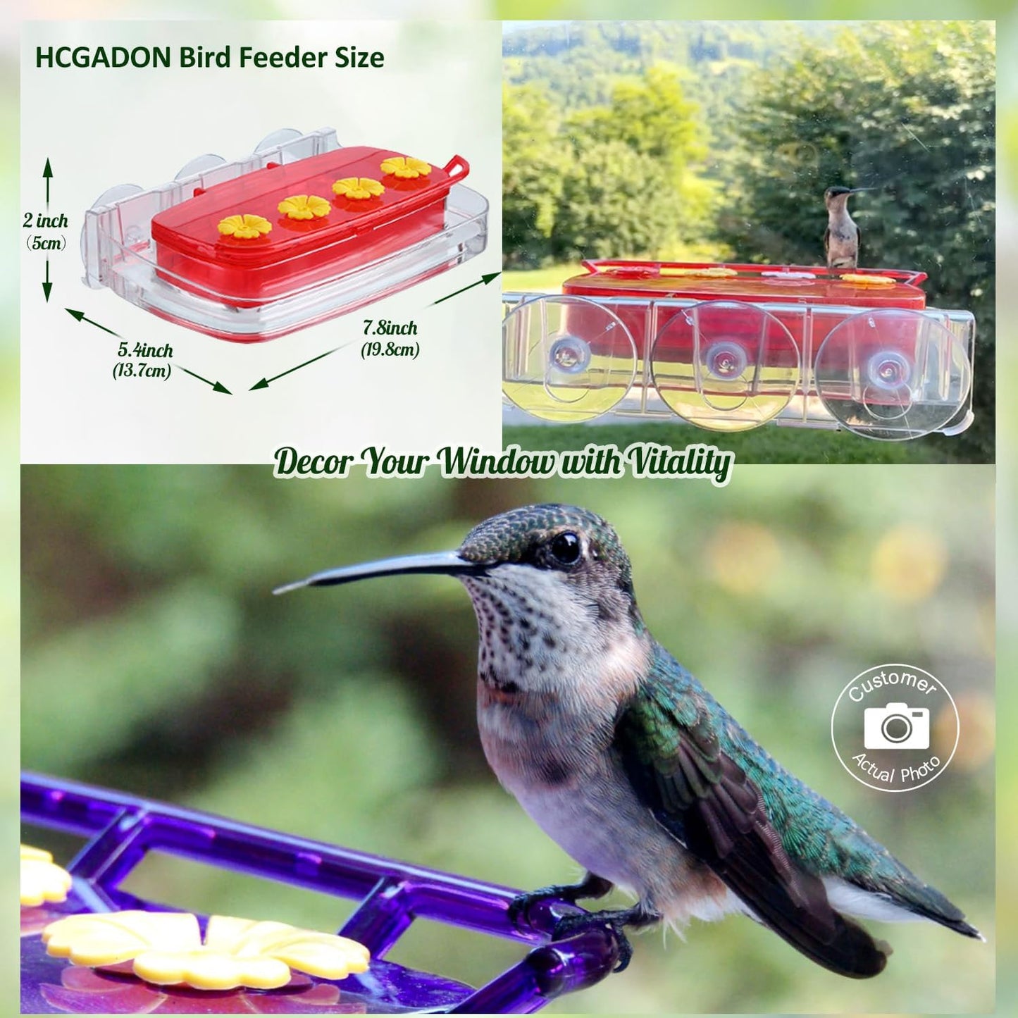 Window Hummingbird Feeder with Strong Suction Cup, Plastic Hummingbird Feeders for Outdoors, Built-in Moat,Easy to Clean and Refil (10oz) (1, Red)