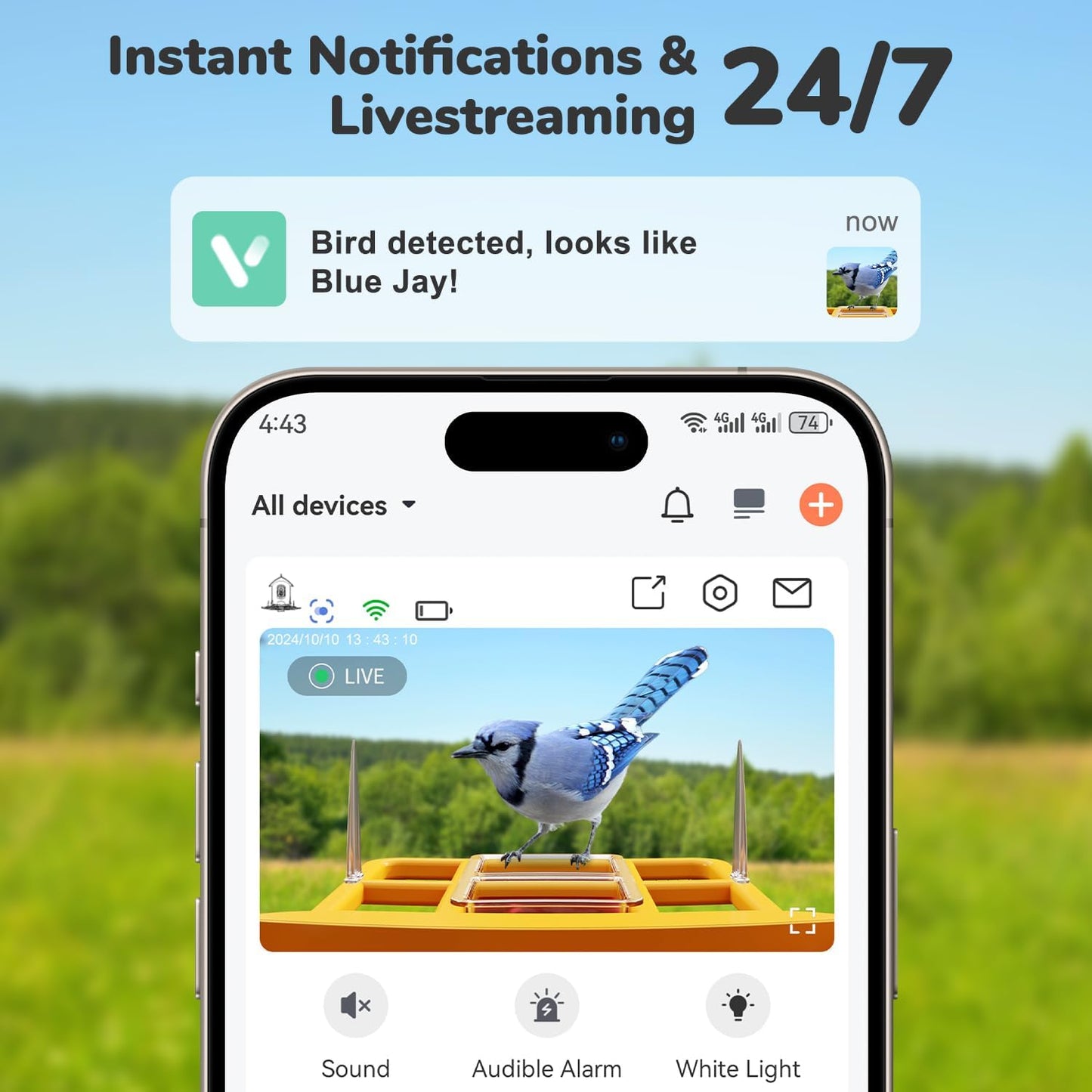 Dzees Smart Bird Feeder with Camera, 32G Card, AI Identify Birds Species, Capture Video, Instant Notifications, Live View, Solar Powered, for Family, Ideal Gifts for Bird Lovers