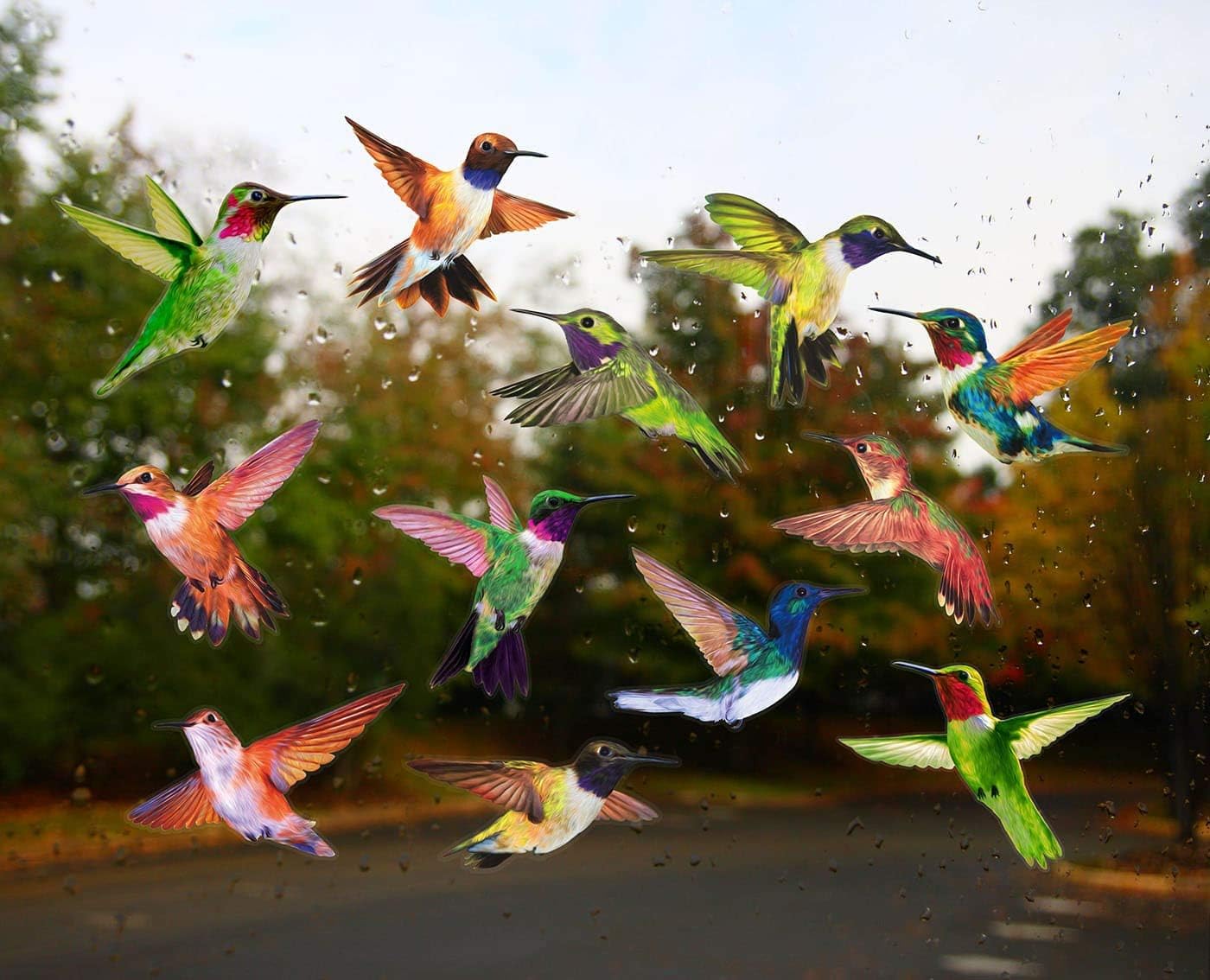 Anti-Collision Window Clings Bird Alert Collision Decals to Prevent Bird Strikes on Window Glass - Set of 12 Hummingbirds