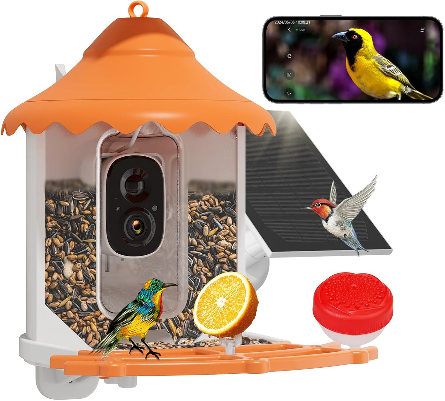Hiseeu Bird Feeder with Camera, 2.5L Large Capacity, AI Identify 11000+ Birds Species, Solar Powered, Auto Capture Bird Videos & Motion Detection, Smart Bird Watching Camera Wireless Outdoor