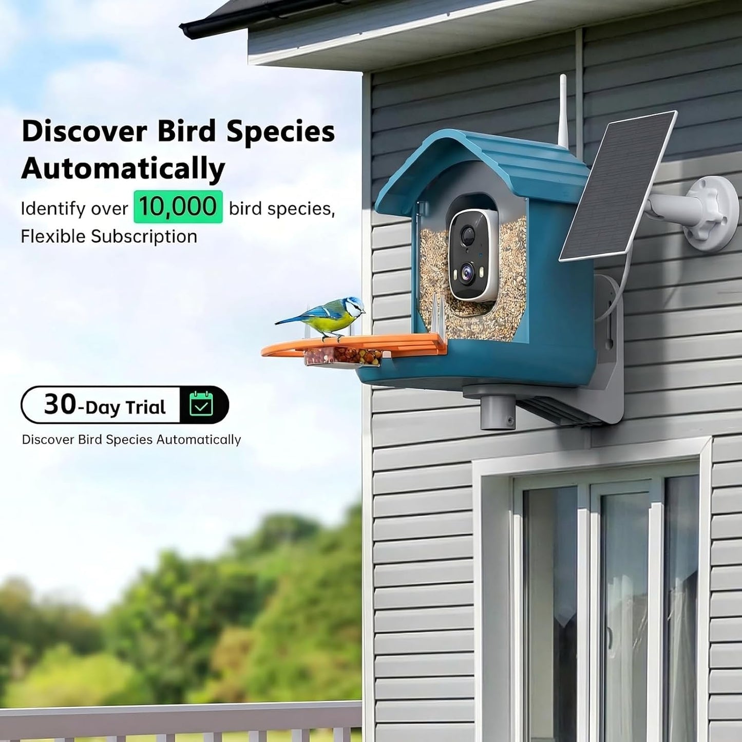 Bird Feeder with Camera, AI Bird Identification, Full HD Live Video, Solar Powered, 2.4Ghz WiFi, Instant Arrival Alerts