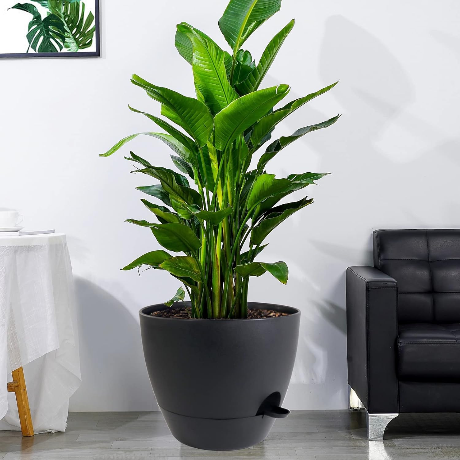 12 inch Large Self Watering Pots, Plastic Planters with 60oZ Removable