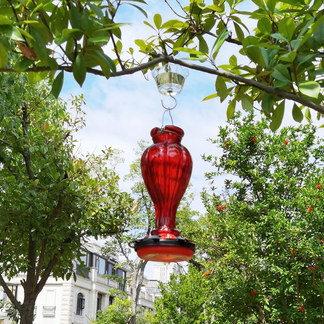 Hummingbird Feeder for Outdoors Hanging - Red Glass Nectar Feeding Bottle Including Clear Ant Moat - 24 OZ (710ml), 4 Red Flower Ports, Black Cover