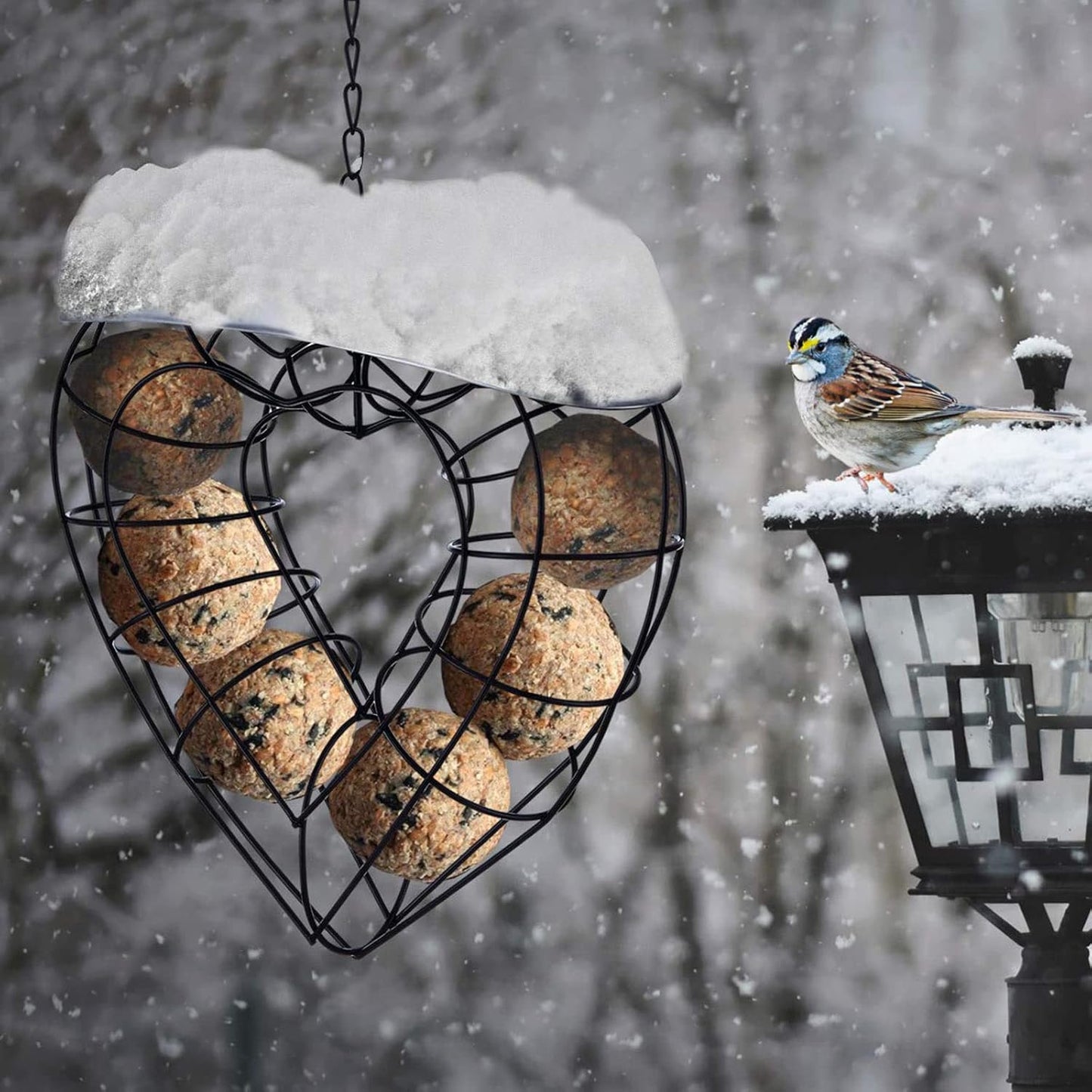 Hanging Feeder for Wild Birds Feeder Basket for Lovebirds Finches Canaries- Wild Bird Feeding Food Dispenser Storage