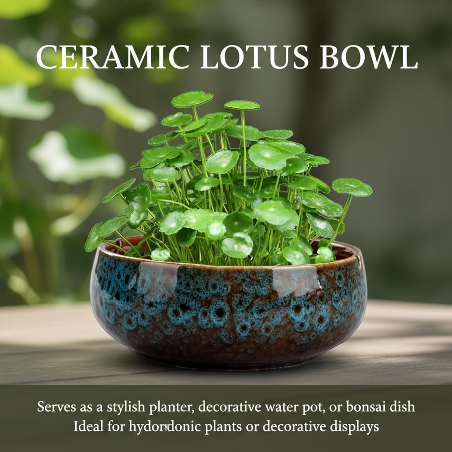 Ceramic Water Lotus Bowl, Decorative Lotus Bowl Planter Dual Use Tea W