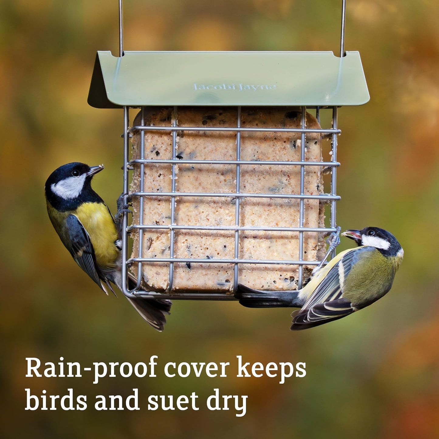 Suet Cake Feeder - Jacobi Jayne® Suet Cake Basket - Holds 2 Suet Blocks for Wild Birds - Suet Block feeders Hanging - Suet Block Holder - Suet Block Feeder for Small Birds only