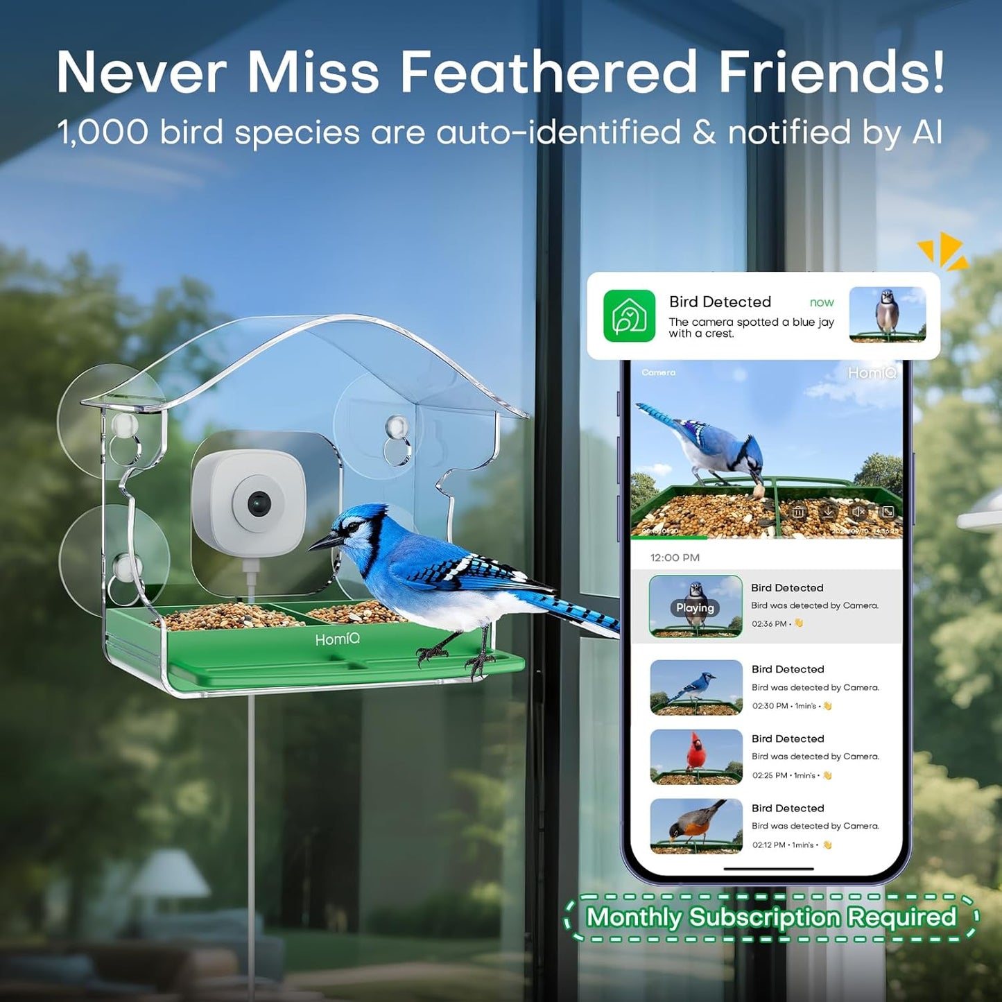 Smart Bird Feeder 2K HD 3MP Window Glass Camera Close-up, 2.4G &5Ghz W