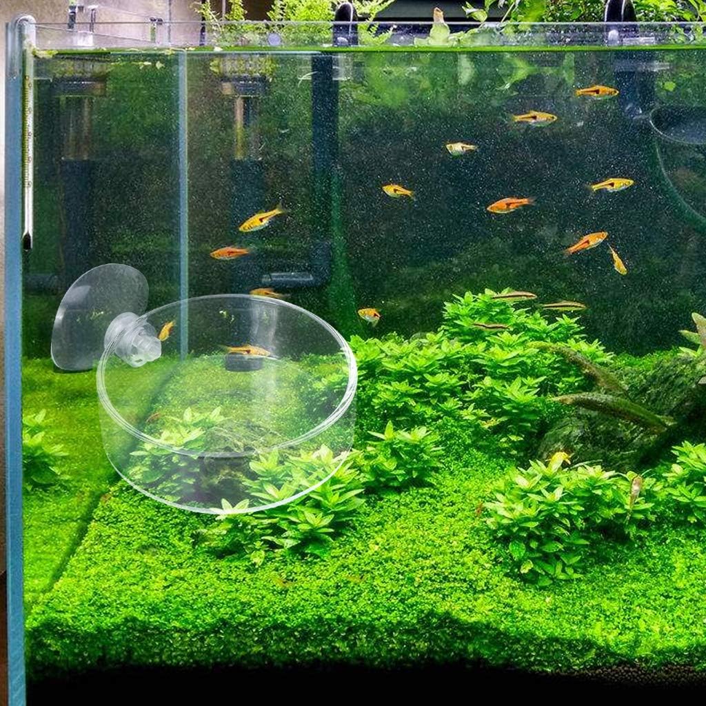 Aquarium Shrimp Feeding Dish with Suction Cup High Transparent Glass B