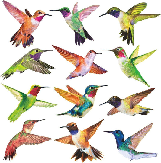 Anti-Collision Window Clings Bird Alert Collision Decals to Prevent Bird Strikes on Window Glass - Set of 12 Hummingbirds