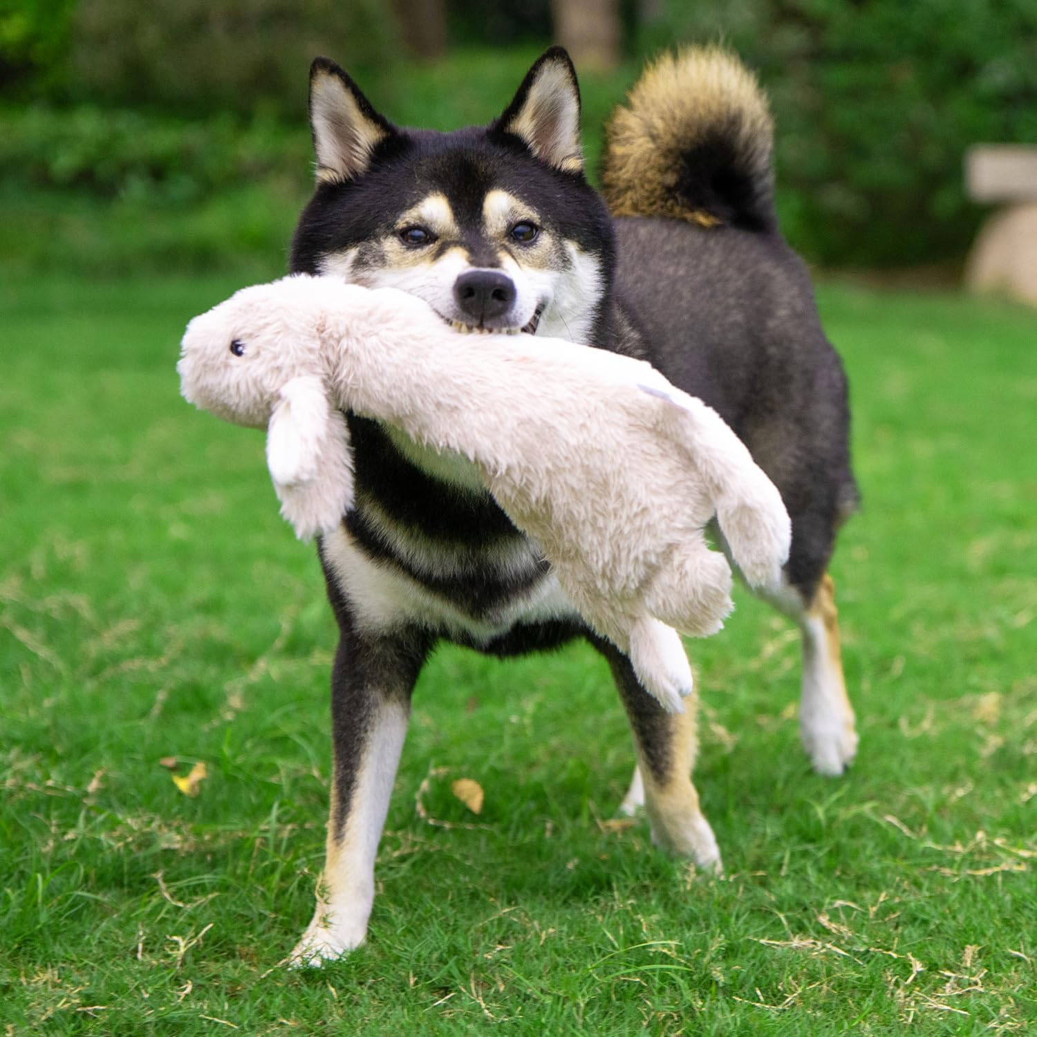 Best Pet Supplies Squeaky Dog Toys with Soft Durable Fabric for Small,