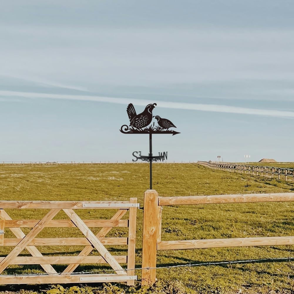 SUPERDANT Quail Weather Vane Animal Birds Wind Vanes for Yard Metal We