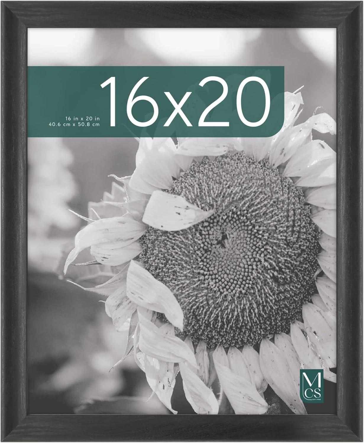 MCS Studio Gallery Classic 16x20 Poster Frame Black Woodgrain Engineered Wood, Vertical & Horizontal Wall Hanging Large Picture Frame for Photos, Posters & Art Prints (1-Pack)