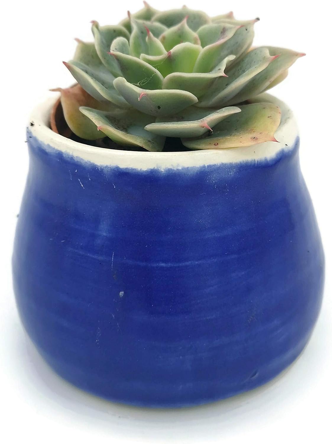 Mini Succulent Planter Pot, Royal Blue Ceramic Decorative Vase for Cactus, Office Desk Accessories for Men