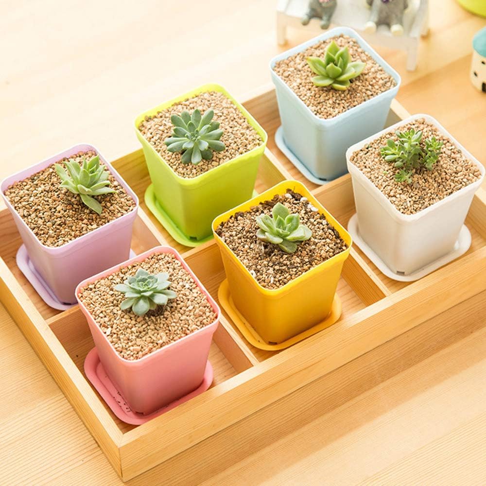 24 Pack 3inch Multi Color Square Plastic Plant Pots,Seedling Nursery T