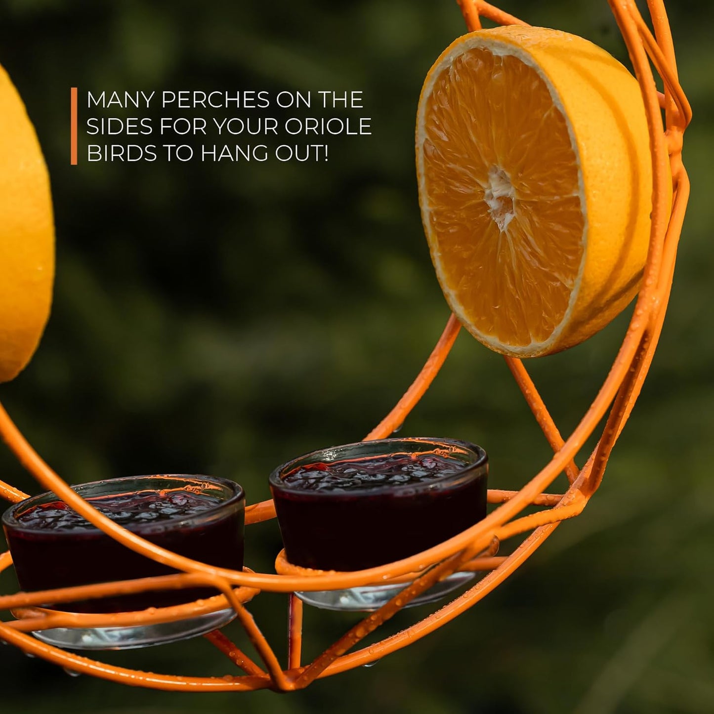 MEKKAPRO Sun Baltimore Oriole Feeder for Outdoors, Jelly and Orange Me