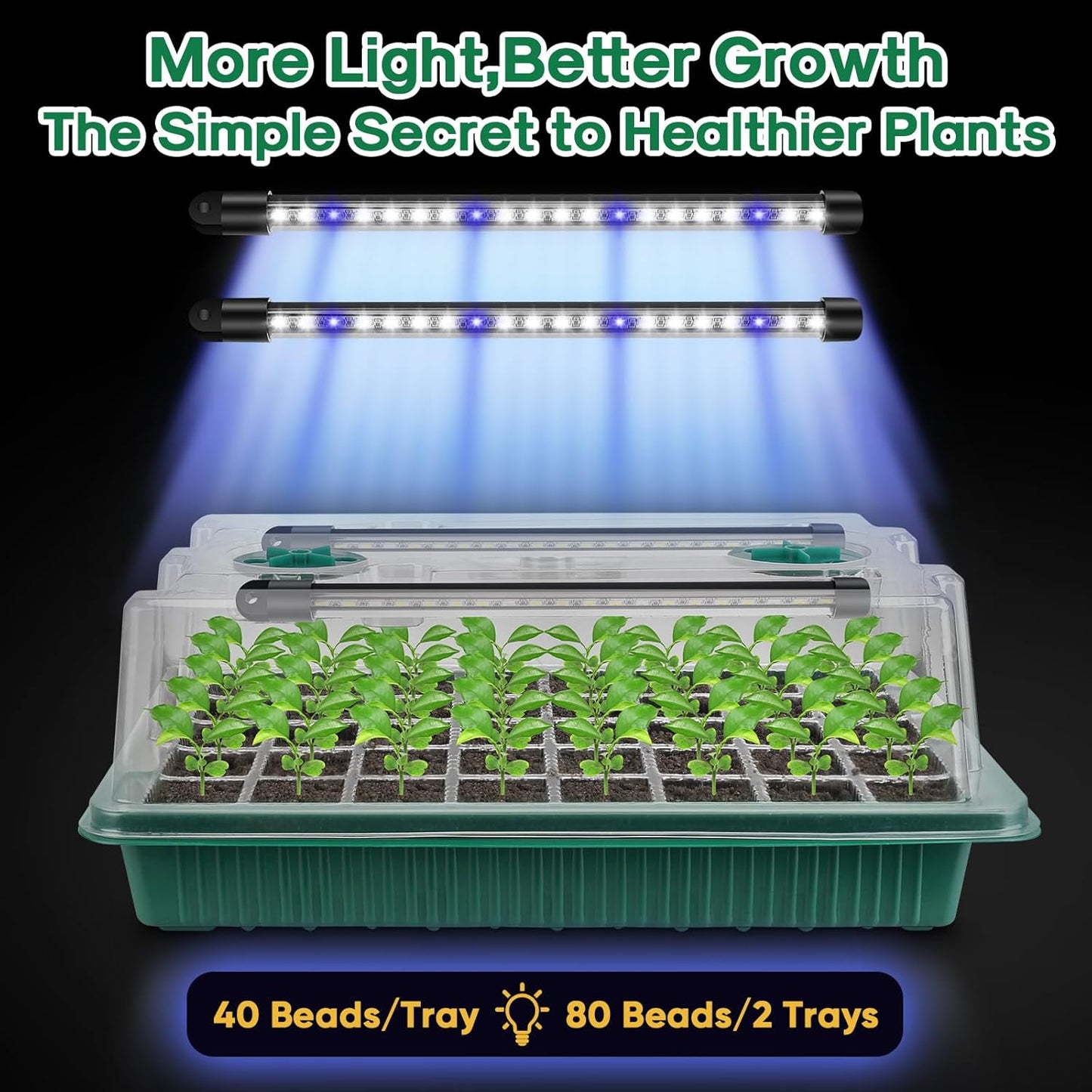 BlumWay Seed Starter Tray with Grow Light,2 Pack 80 Cells Seedling Tra