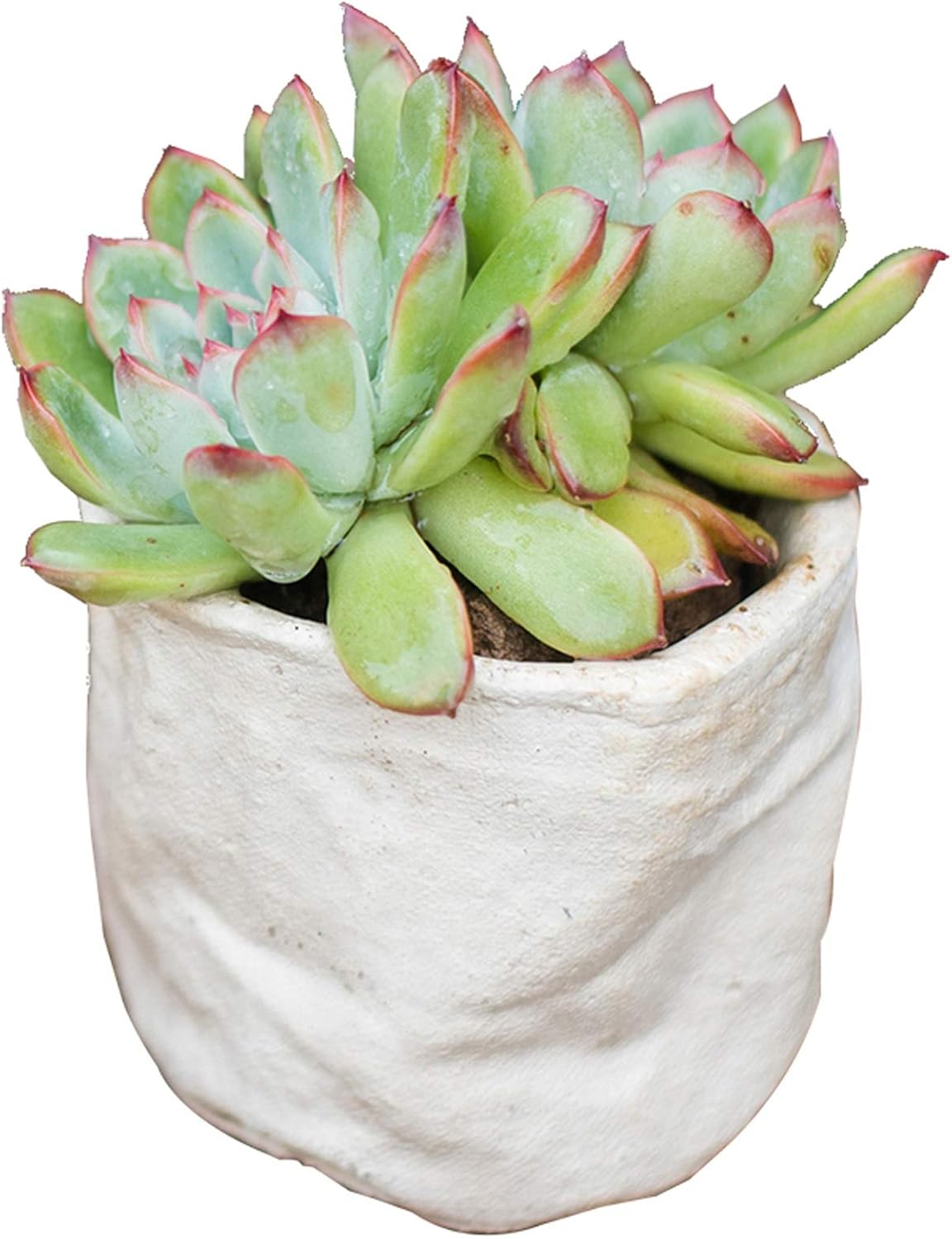 Flower Plant Pot White Succulent Planter Plant Pots Ceramic Indoor Out