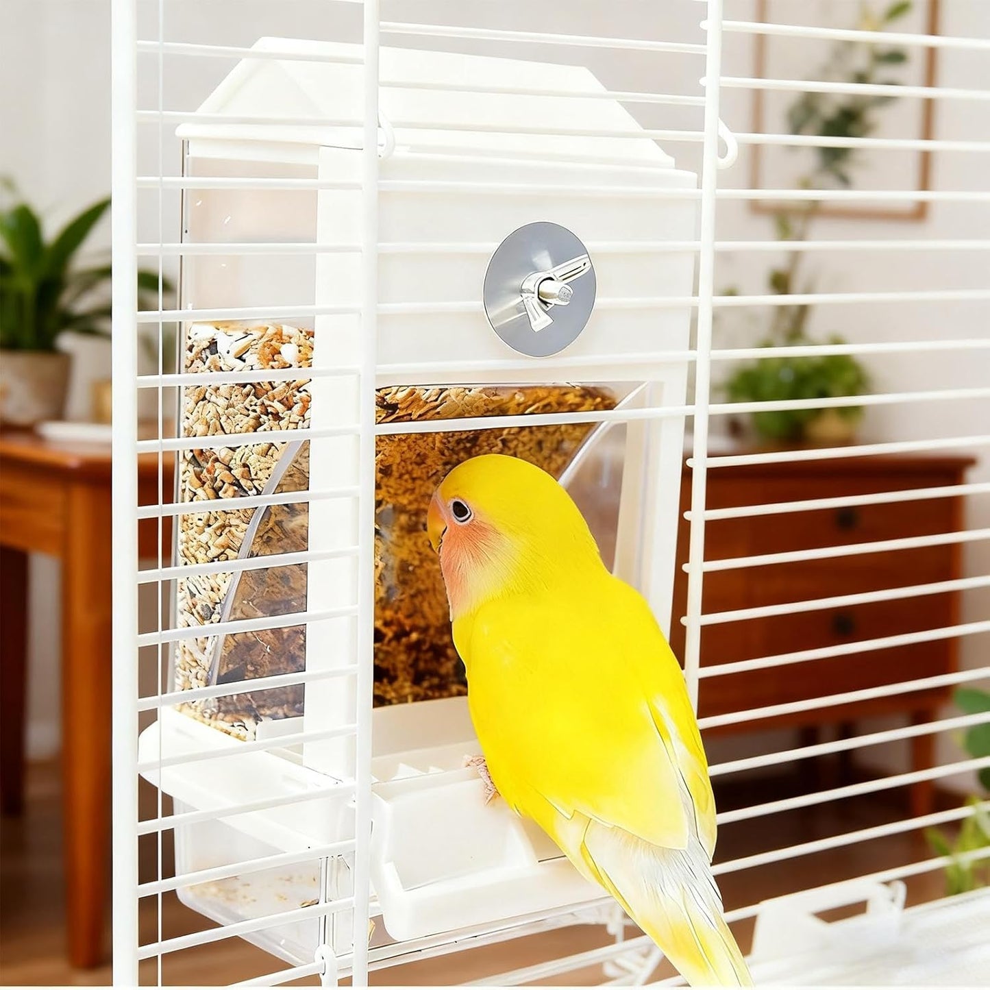 Automatic Bird Feeder, Spill Proof Container, 8.07x3.93x3.54 Inches Gear with Secure Hook Build, Removable Outdoor Supply, Modern Feeding Tool with Sleek Style, Daily Utility for Family Friends Garden
