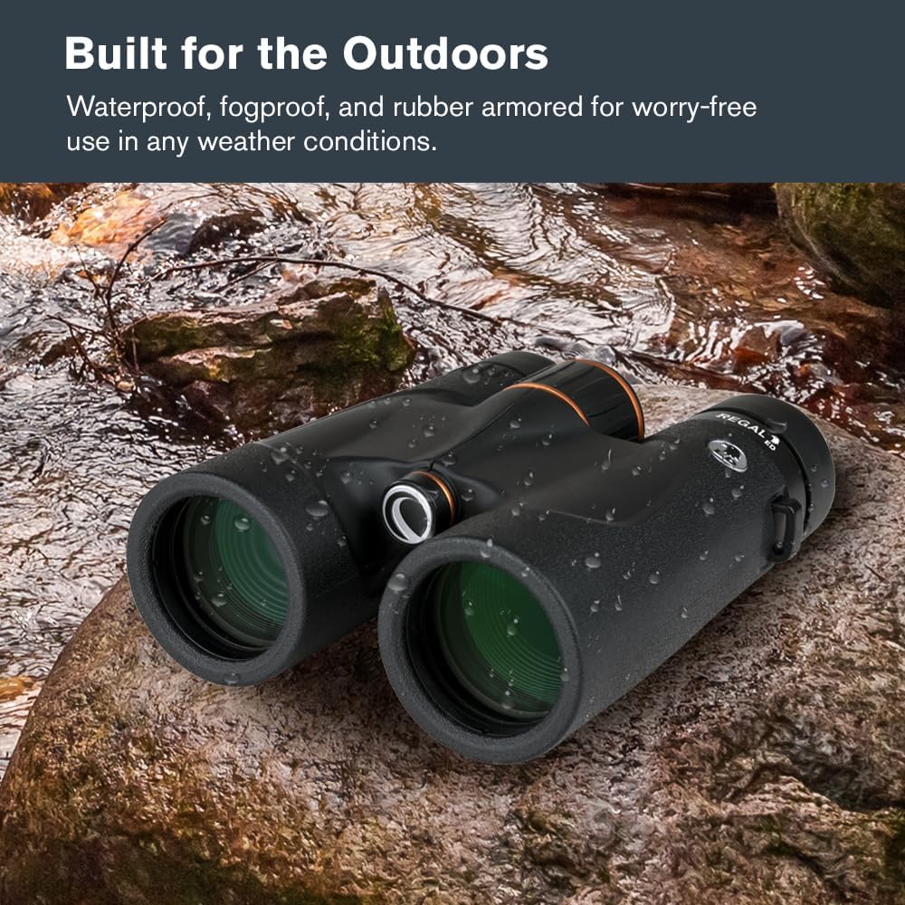 Celestron – Regal ED 8x42 Binoculars – Premium Optics for Birding, Hunting & Outdoor Use – Phase & Dielectric Coated BaK-4 Prisms – Fully Multi-Coated Glass – 4.9 ft Close Focus