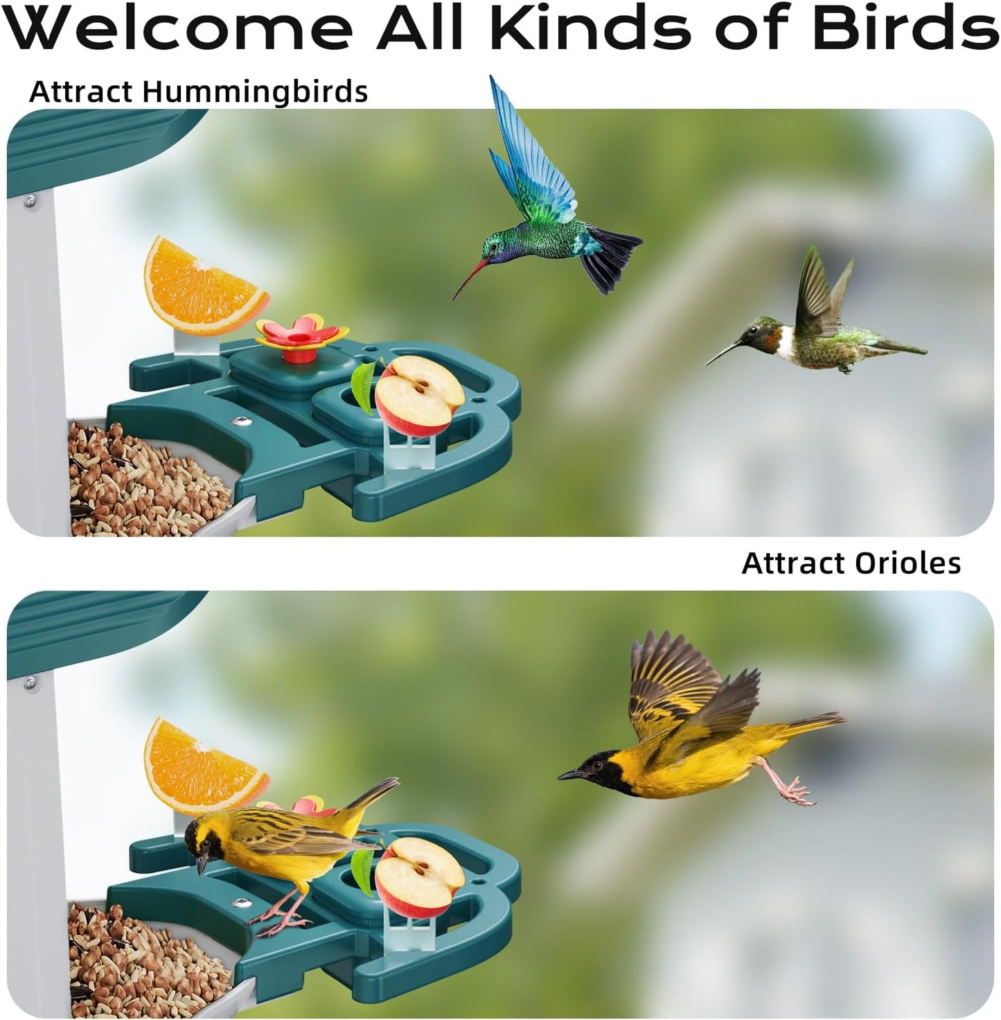 Bird Feeder with Camera, Solar Powered Outdoor Birdhouse, AI Smart Identify 10000+ Birds Species, Instant Motion Detection & Alerts, Watching & Capture BirdVideo, Gifts for Bird-Lovers(Cyan-Blue)