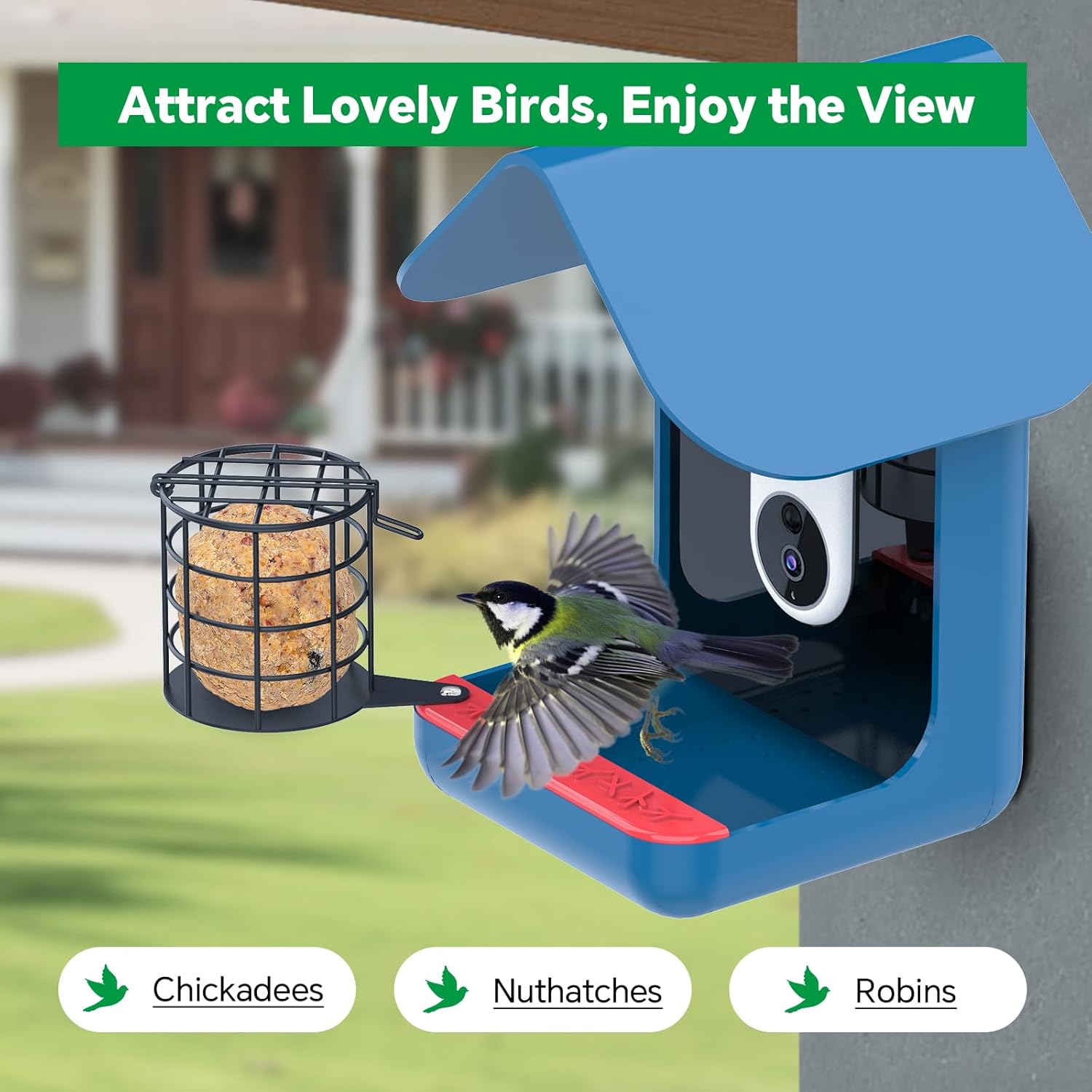Metal Suet Ball Holder Designed for Bird Buddy Smart Bird Feeder with 