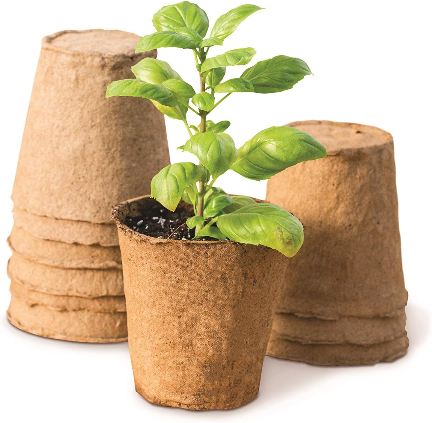 Burpee Biodegradable Fiber Potting Pots for Seed Starting, Eco Friendl