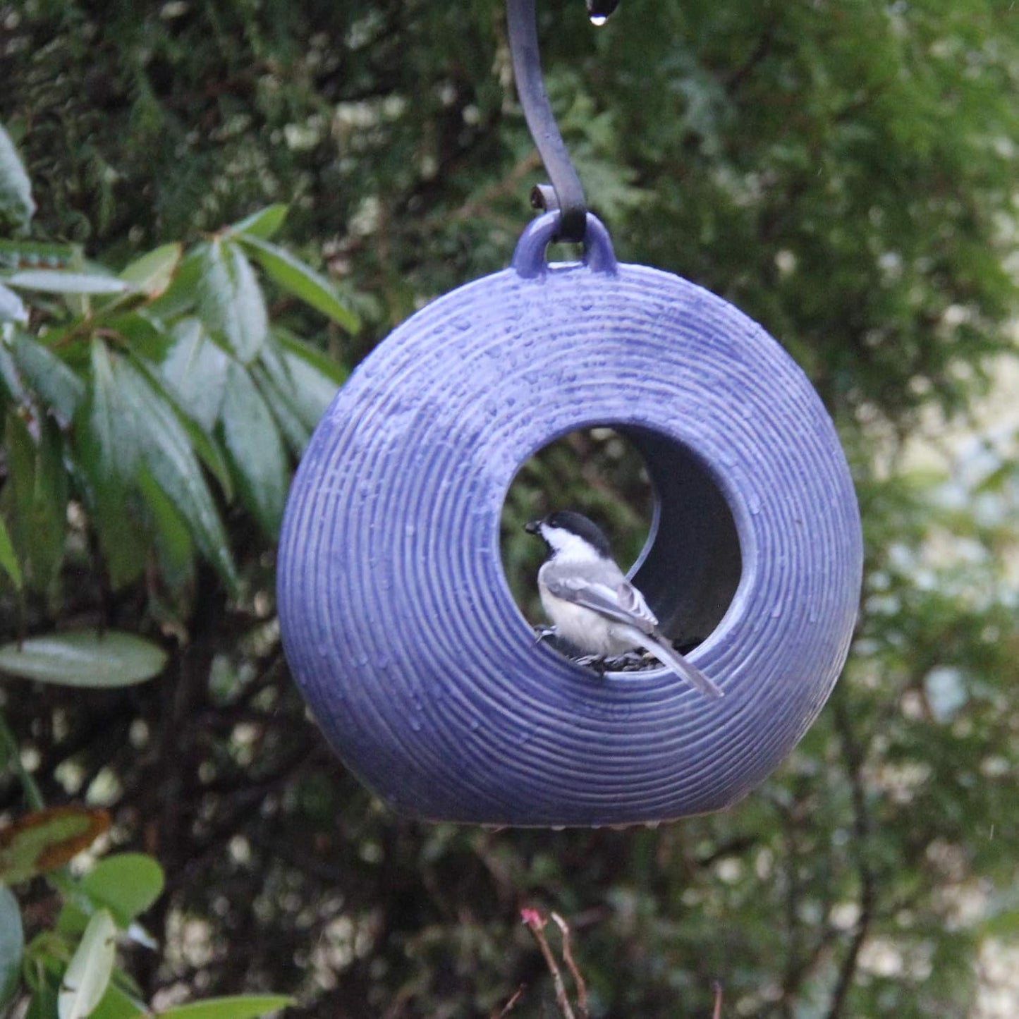 Byer of Maine Circle Fly Through Heather Blue Bird Feeder for Outside, High Fired Porcelain Stoneware with Glossy Glaze, 3lbs