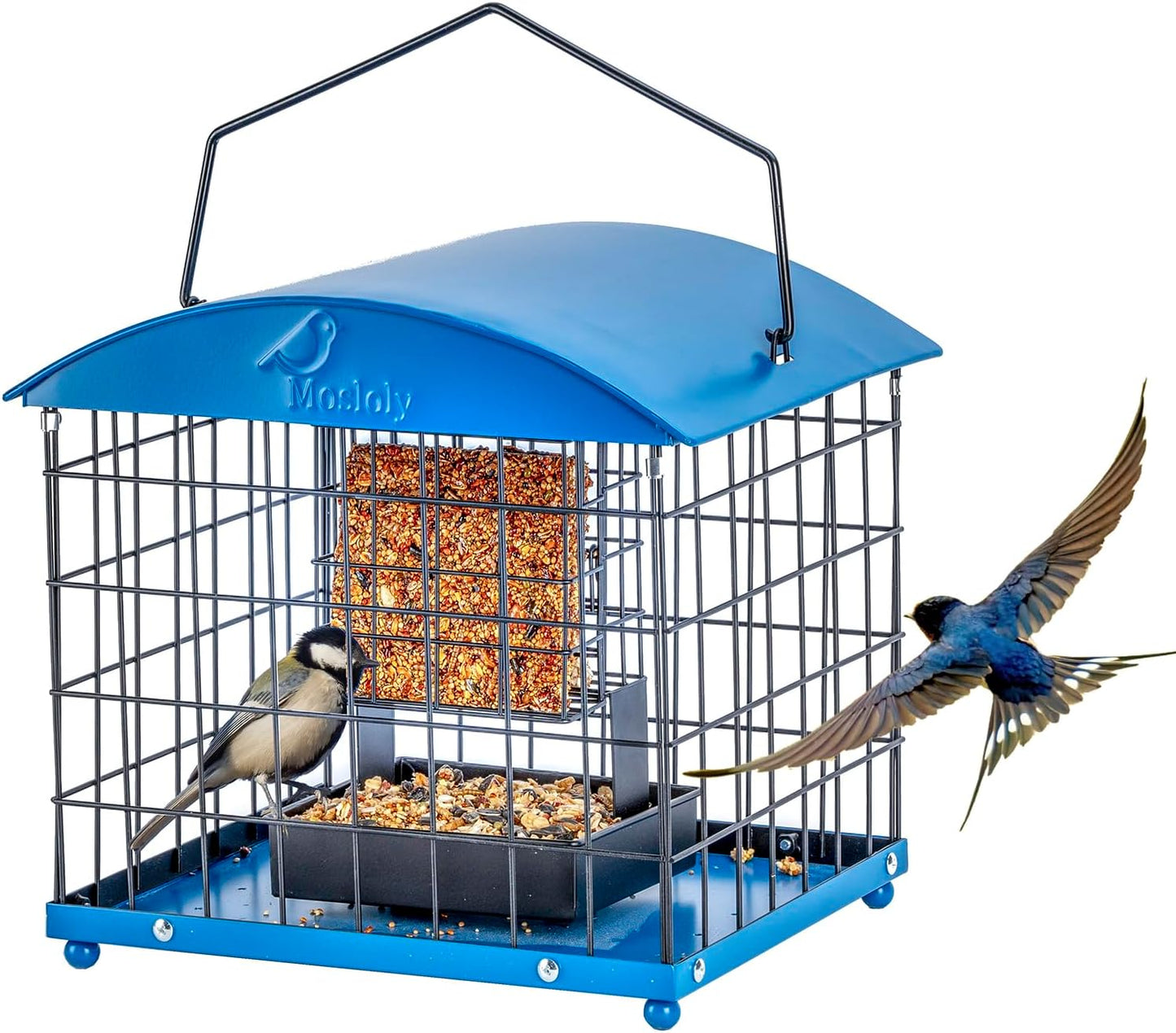 Caged Suet Bird Feeders Squirrel-Proof, Dual-Purpose Suet &Seed Wild Bird Feeders with Tray, Starling-Proof Metal Caged Bird Feeders Outdoors Hanging, 2 Suet Cakes+1lb Seed Capacity, Blue