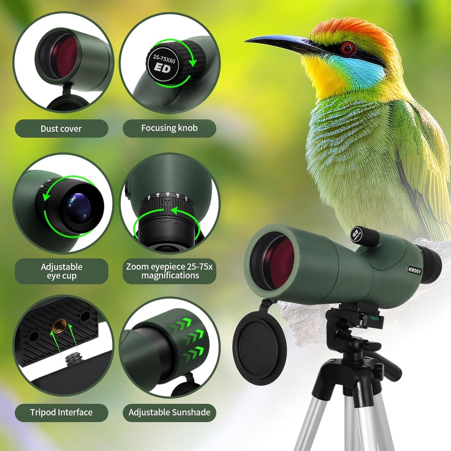 25-75X60 Spotting Scope with 51in Tripod, Spotting Scope for Target Shooting, Hunting & Bird Watching, Low Light Vision, Phone Adapter, Carry Bag, BAK4 Prism, FMC Lens, Waterproof (ArmyGreen)