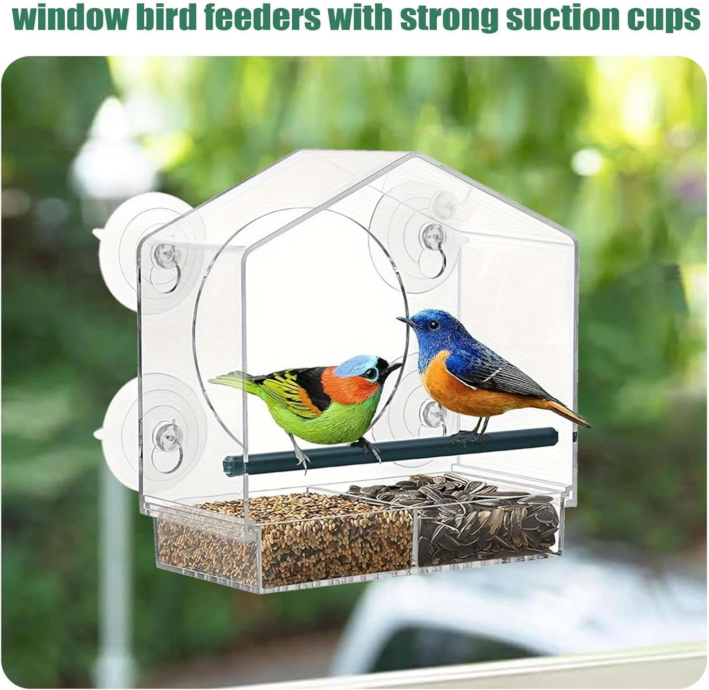Bird Feeder Suction Cup Window – Spill-Proof Food Box | Acrylic Detach
