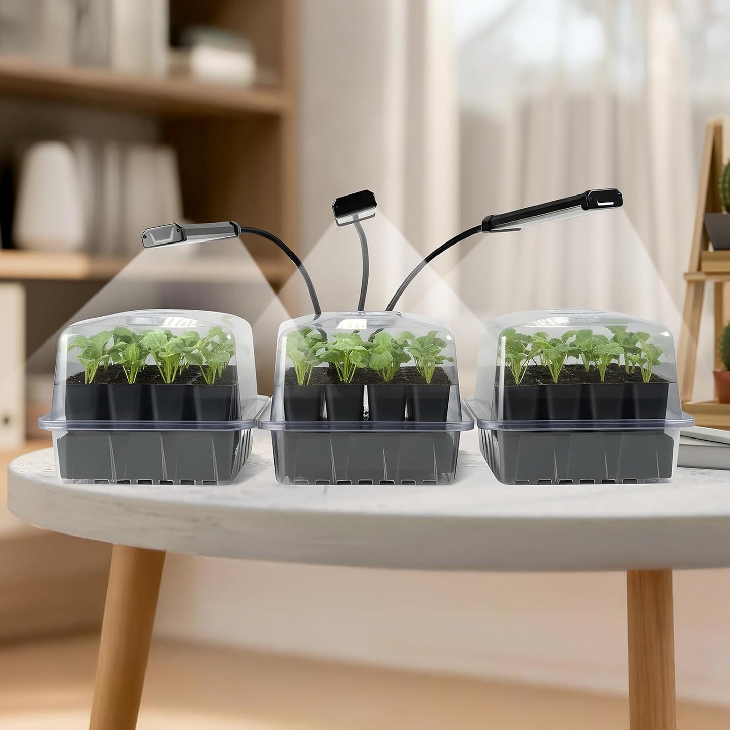 SOLIGT 72 Cell Self Watering Seed Starter Trays with Grow Light, 3 See