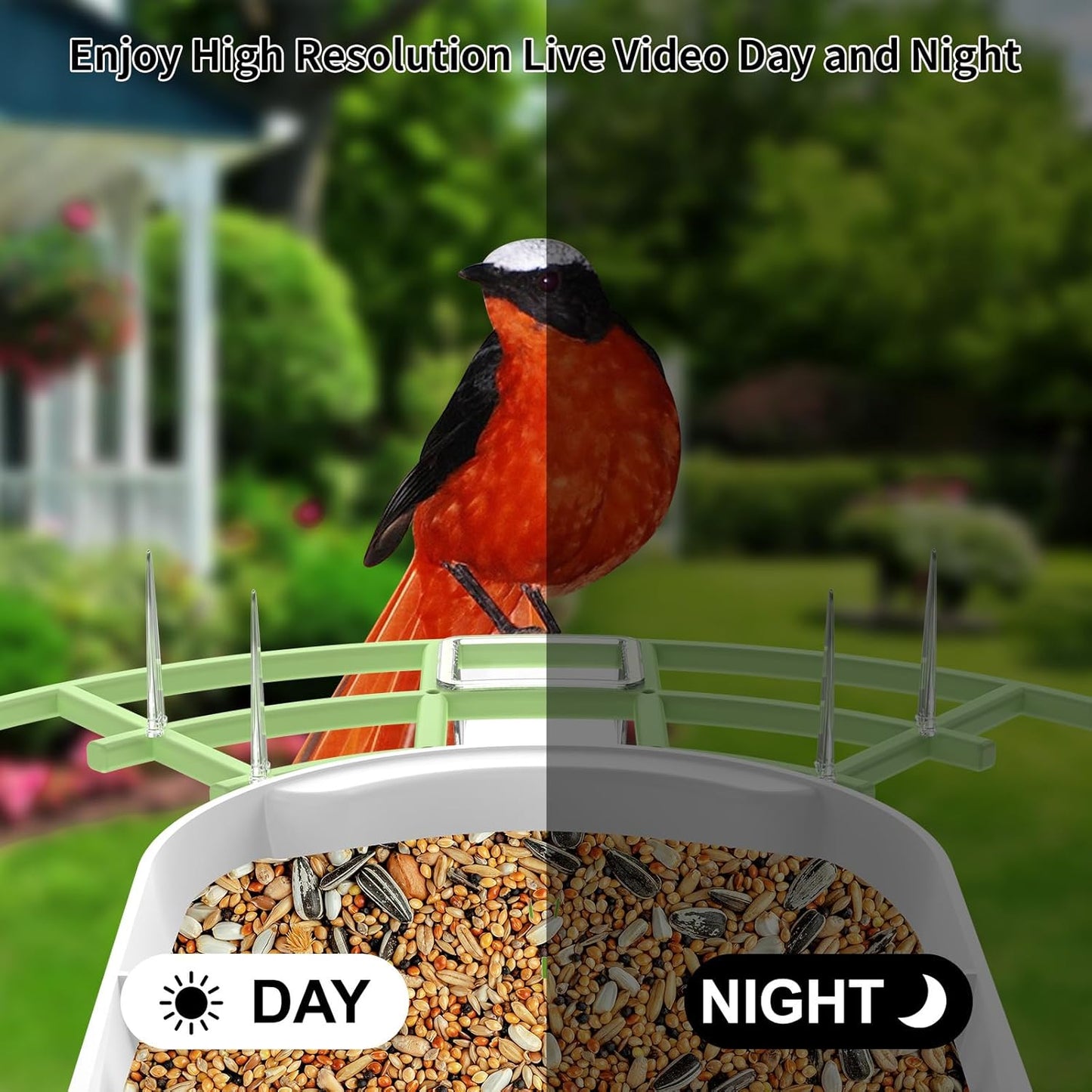 Bird Feeder with Camera,Smart AI Birds Breed Recognition,Birds Motion Detection with Real-Time Notice,Auto Capture Bird Watching WiFi Camera,Solar-Powered Outdoor Charging Bird House,Ideal Gifts,Green