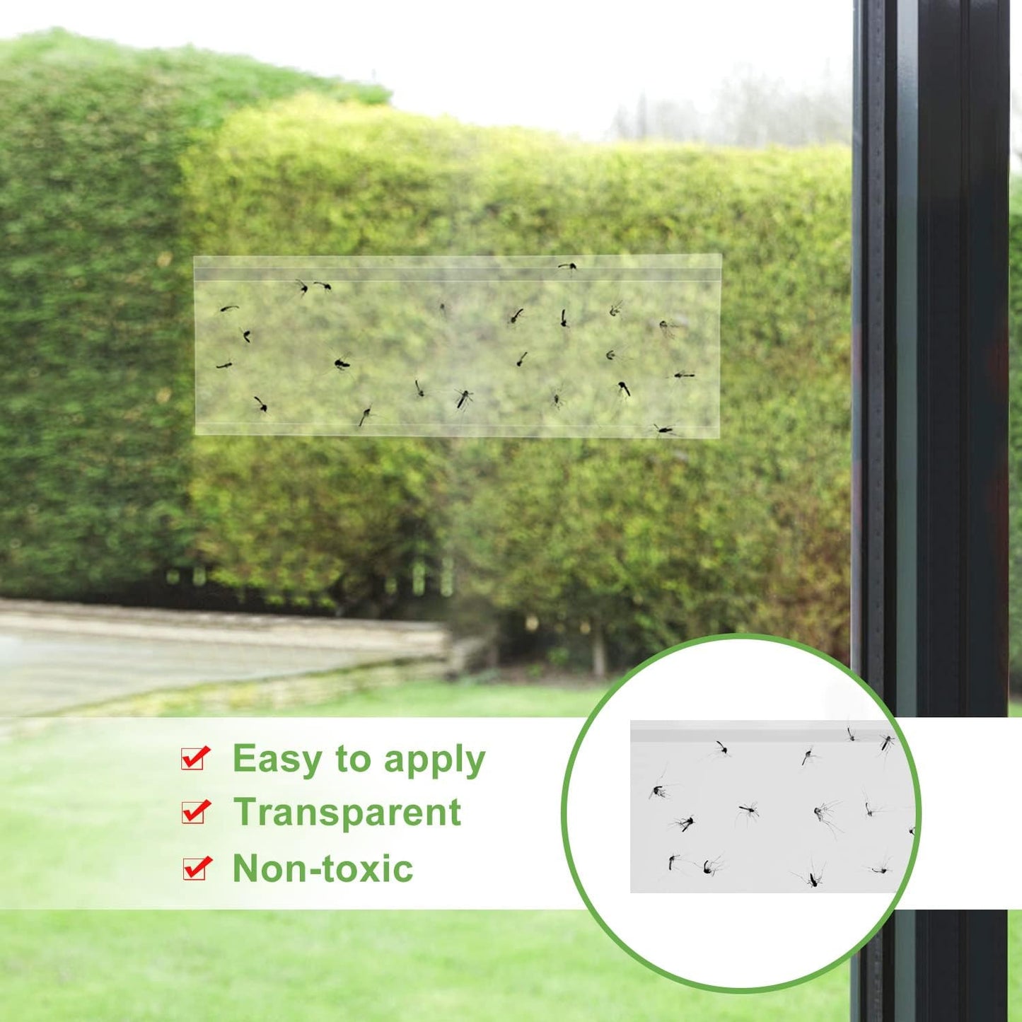 50 Pack Window Fly Trap, Fruit Fly Traps for Indoors, Fly Paper Sticky