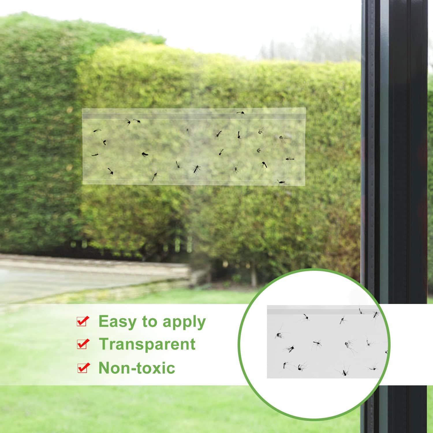 50 Pack Window Fly Trap, Fruit Fly Traps for Indoors, Fly Paper Sticky