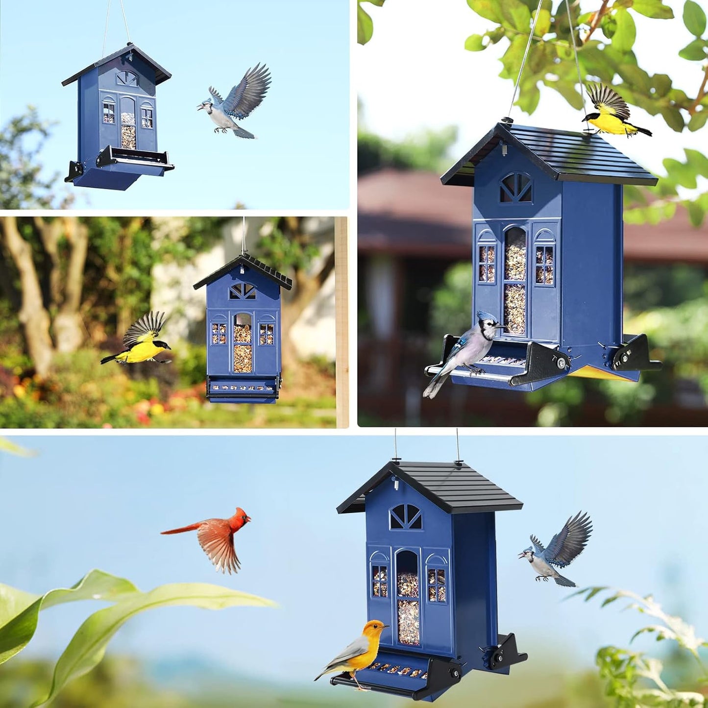 Birdkiss Bird Feeder Squirrel-Proof Outside: Country House Series for 
