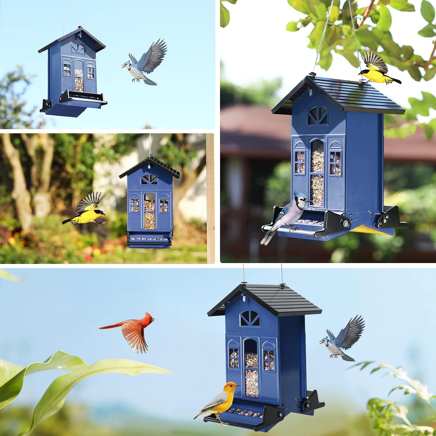 Birdkiss Bird Feeder Squirrel-Proof Outside: Country House Series for 