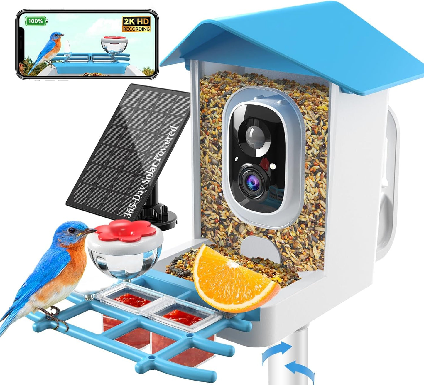 Smart Bird Feeder with Camera - 2K Live Stream, AI Species Recognition, Solar-Powered, Motion Alerts, Squirrel-Proof Weight-Sensor + Large Capacity, Weatherproof Design, Gift for Birds Lover