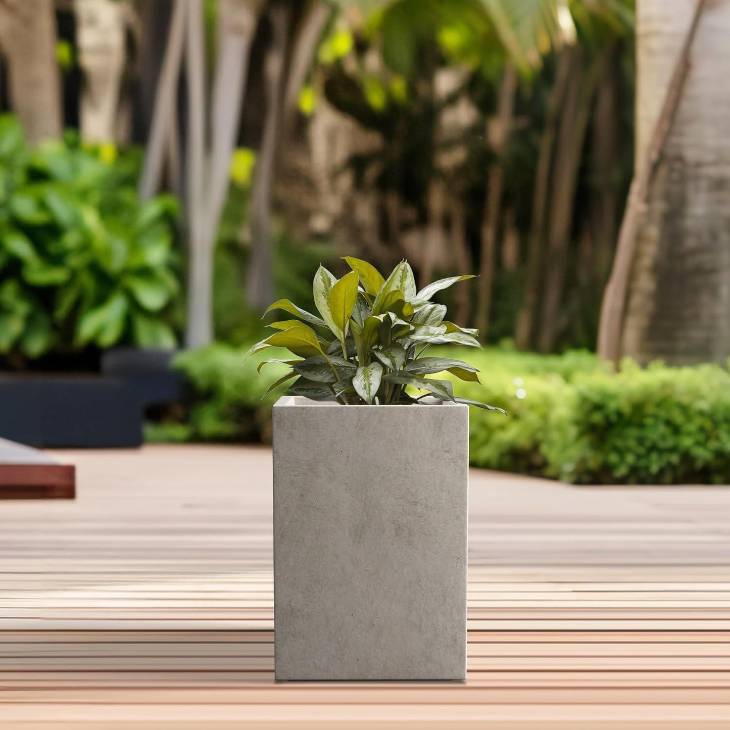 Kante 12.6" H Tall Rectangular Concrete Planters, Outdoor Indoor Light
